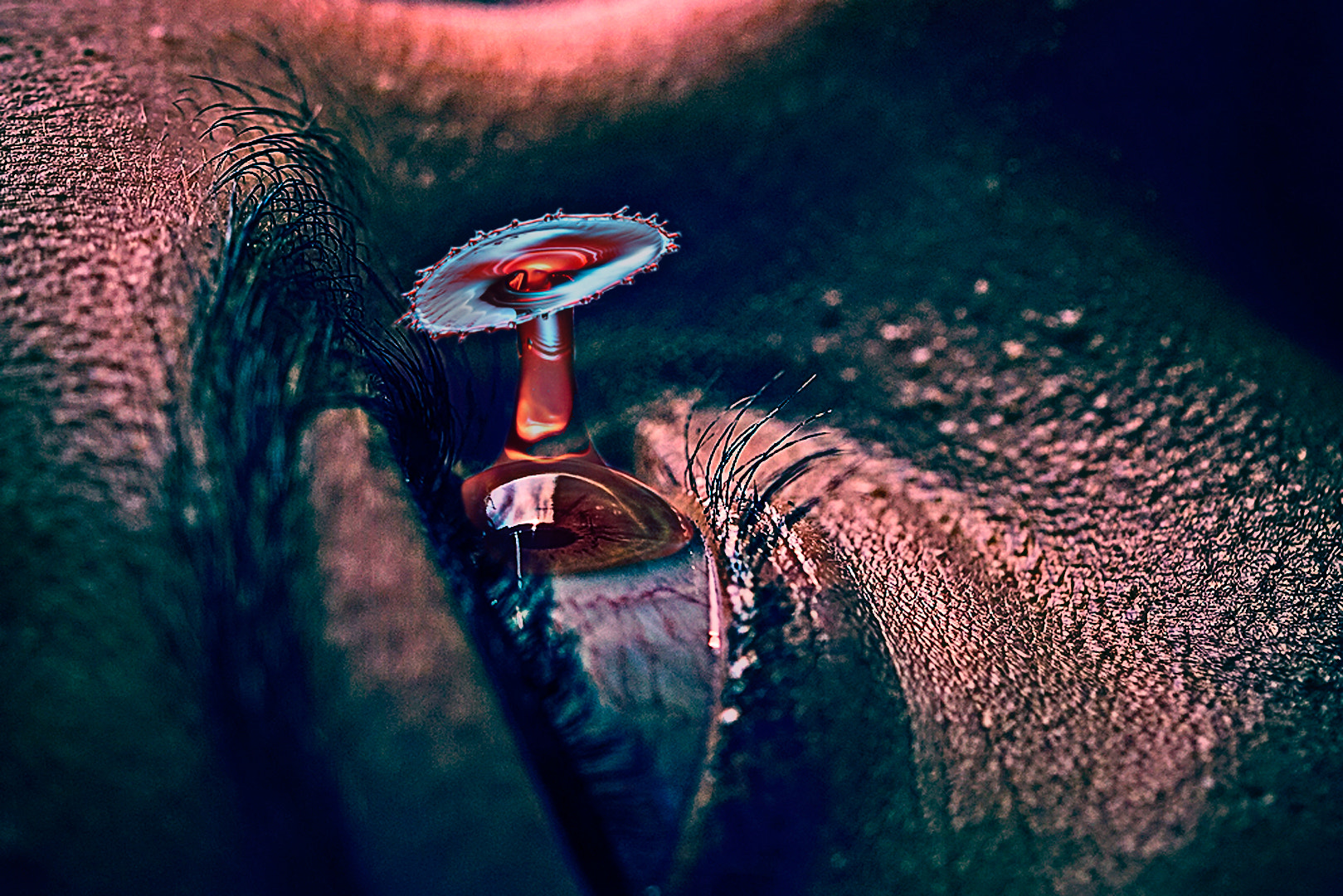 Sony ILCA-77M2 + 105mm F2.8 sample photo. Eye drop photography