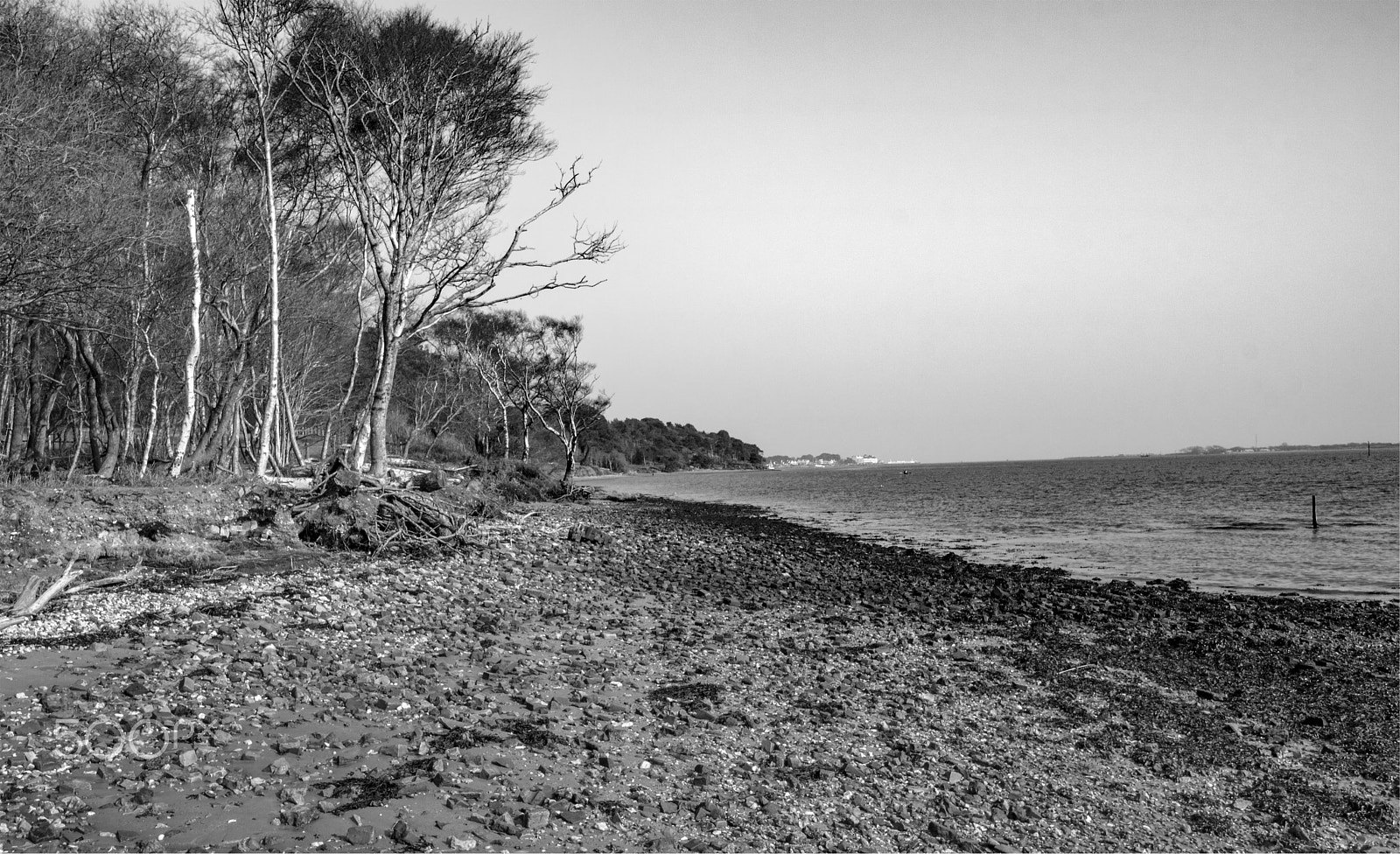 Canon EOS 750D (EOS Rebel T6i / EOS Kiss X8i) + Canon EF-S 10-18mm F4.5–5.6 IS STM sample photo. Along brownsea island beach photography