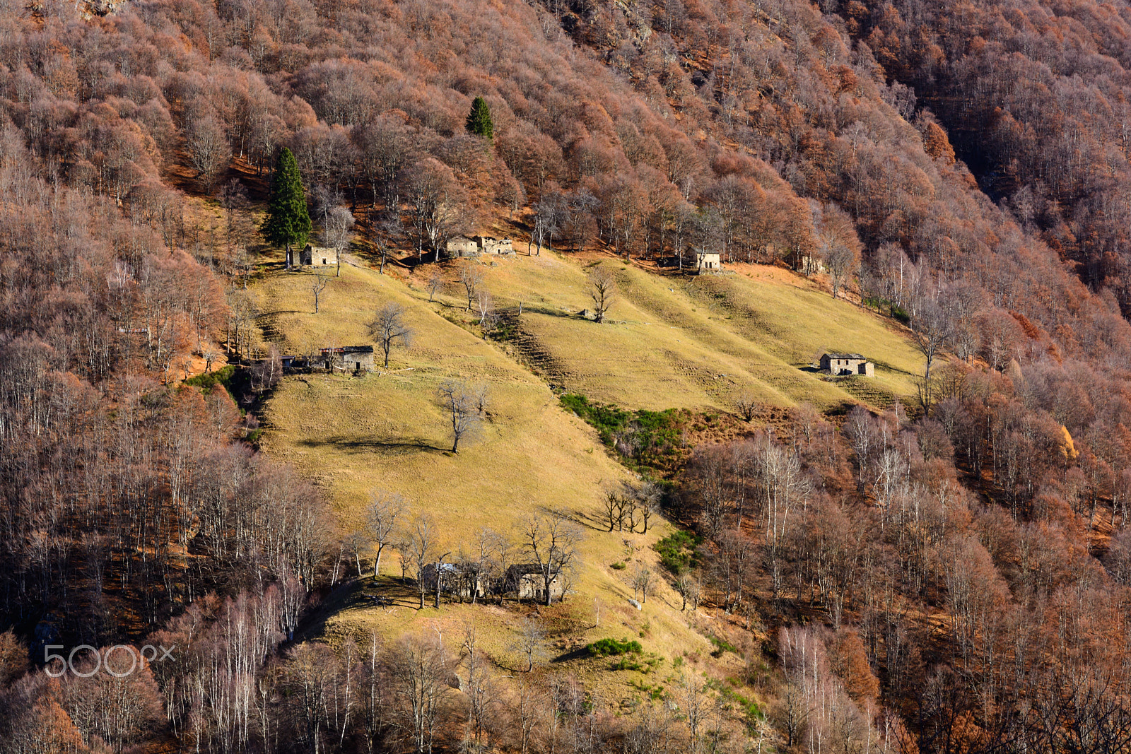 Sigma 17-70mm F2.8-4 DC Macro OS HSM | C sample photo. The lost village photography