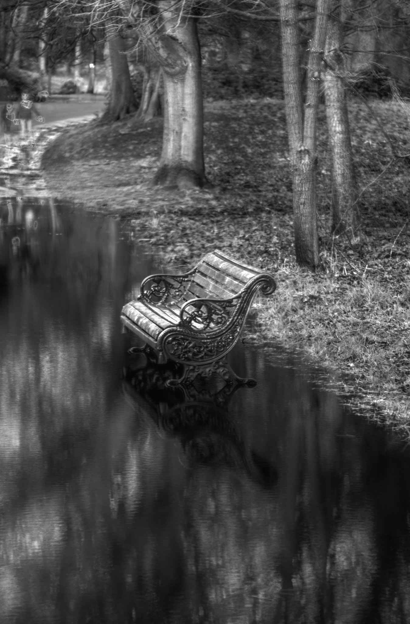 Nikon D7000 + AF Zoom-Nikkor 28-85mm f/3.5-4.5 sample photo. Flooded bench photography