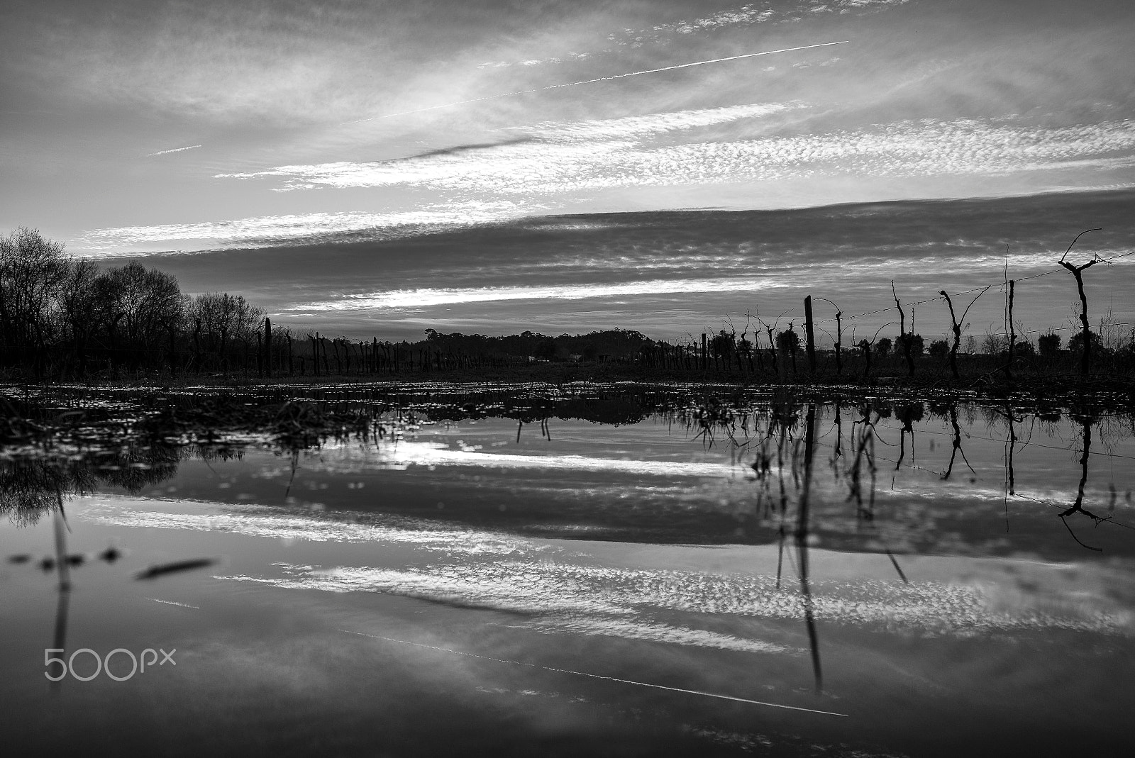 Elmarit-M 1:2.8/24 ASPH. sample photo. Pateira de fermentelos photography