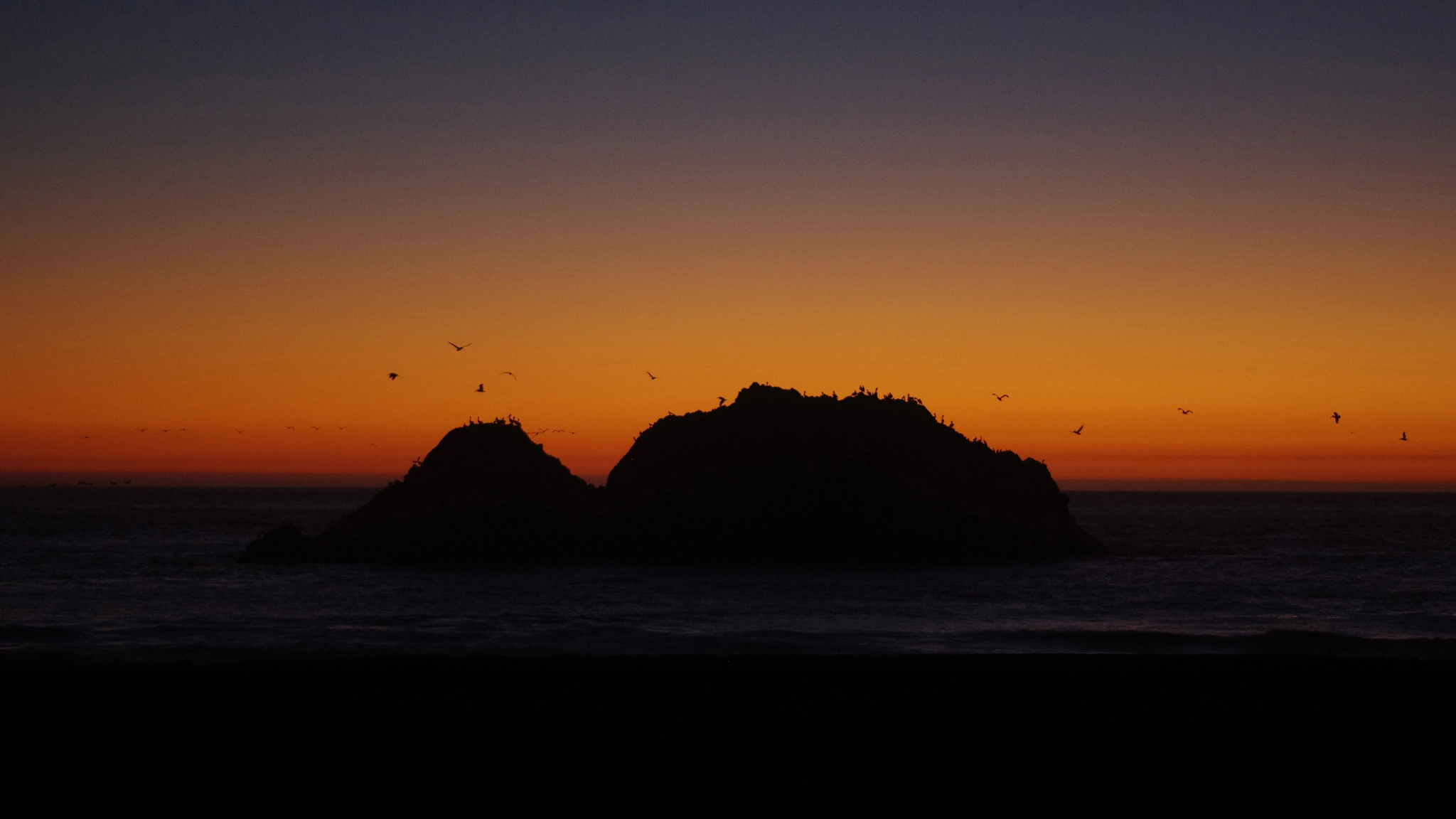 Pentax smc DA 50mm F1.8 sample photo. Sunset for the birds photography
