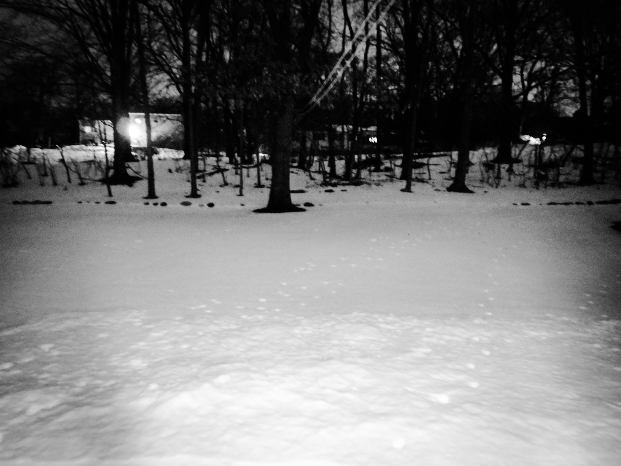 Nikon Coolpix S4100 sample photo. Black and white snow shot photography