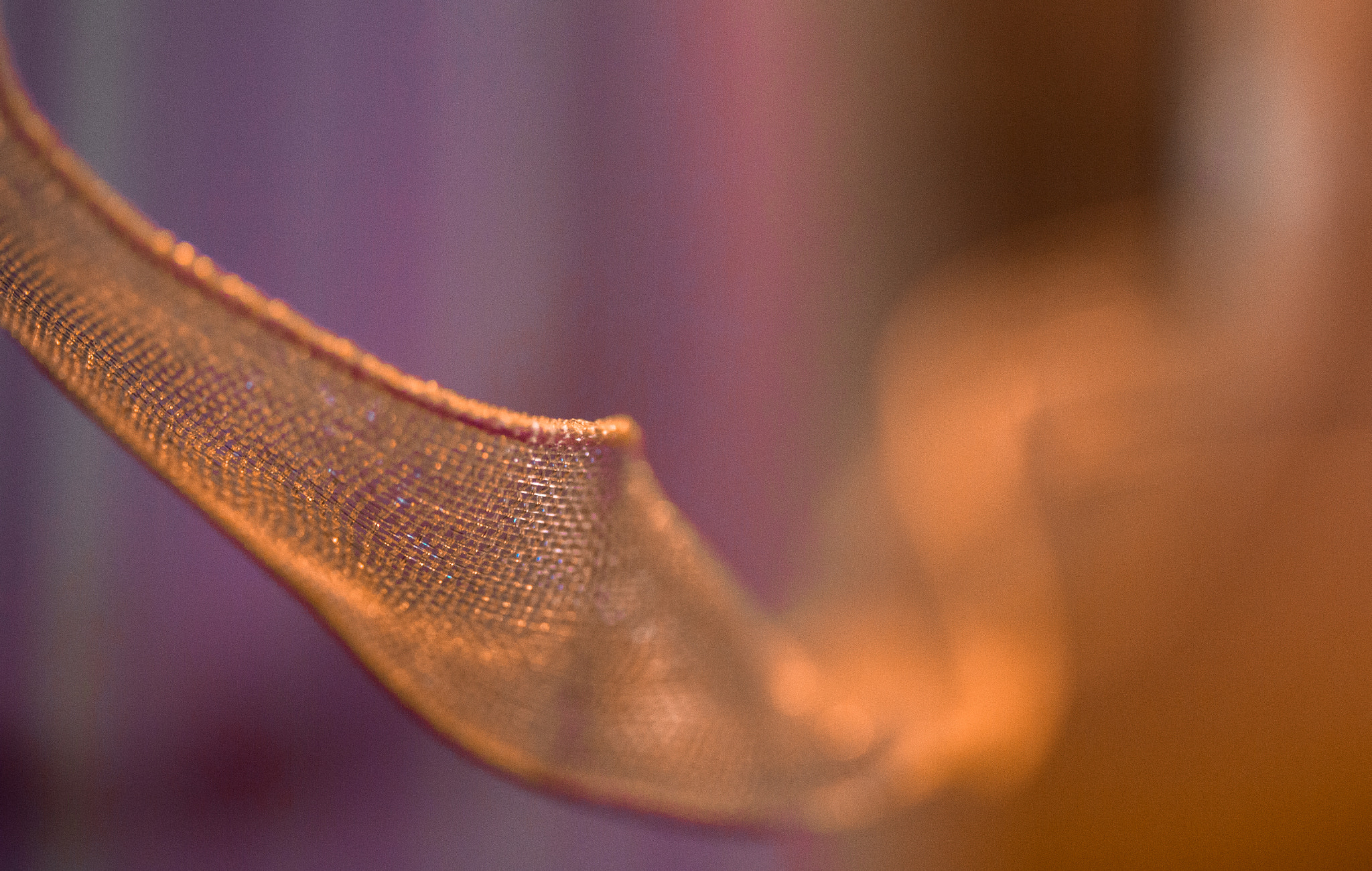 Canon EF-S 60mm F2.8 Macro USM sample photo. Ribbon flow through soft light photography