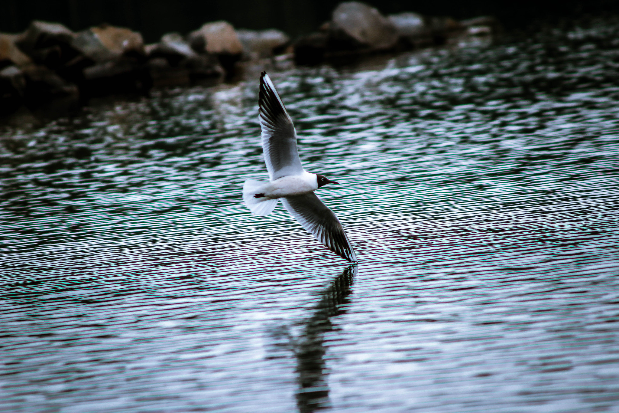 Canon EF 90-300mm F4.5-5.6 sample photo. The touch photography