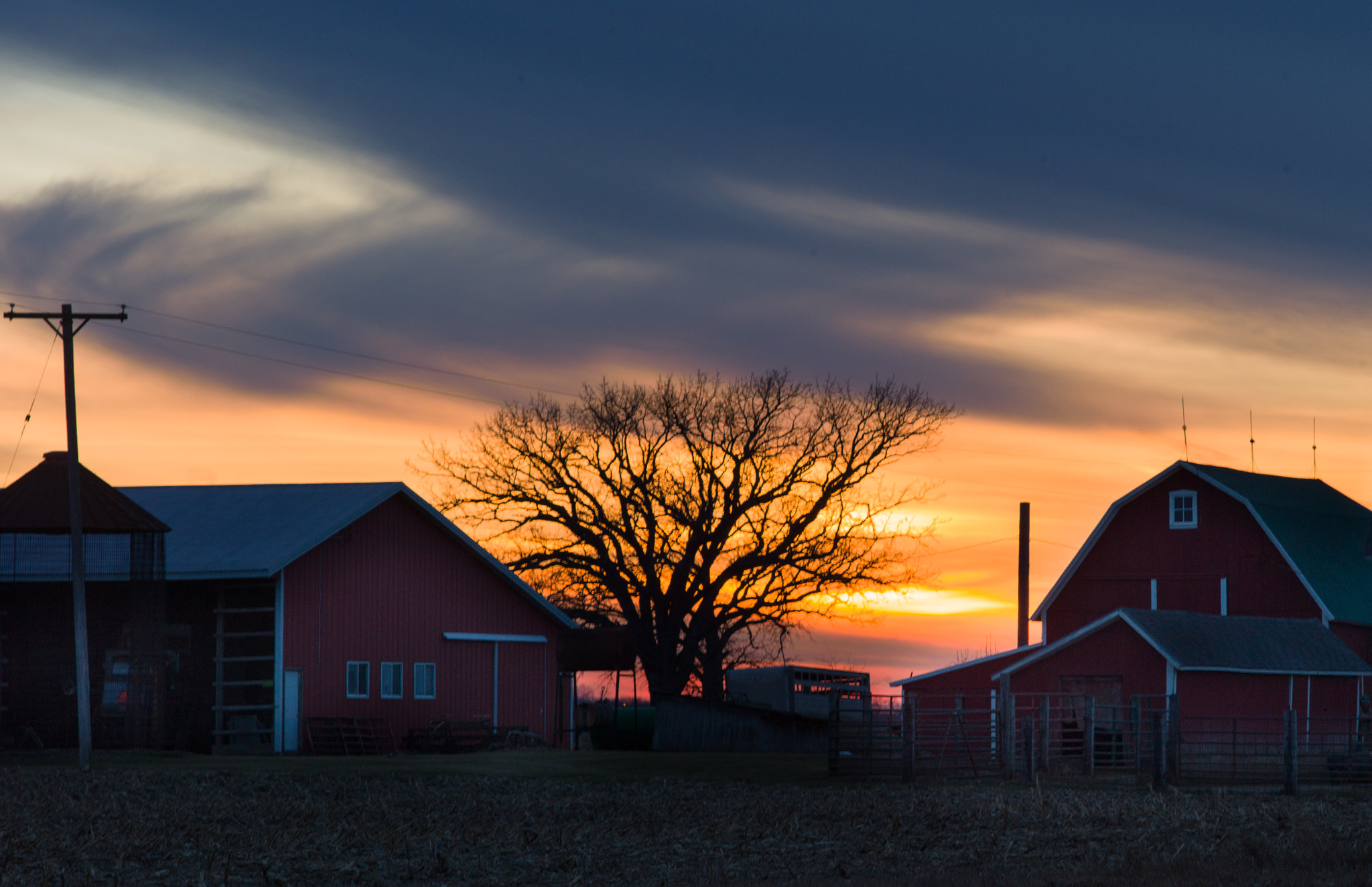 Leica M9 + Leica Macro-Elmar-M 90mm F4 sample photo. Winter sunset on the farm photography