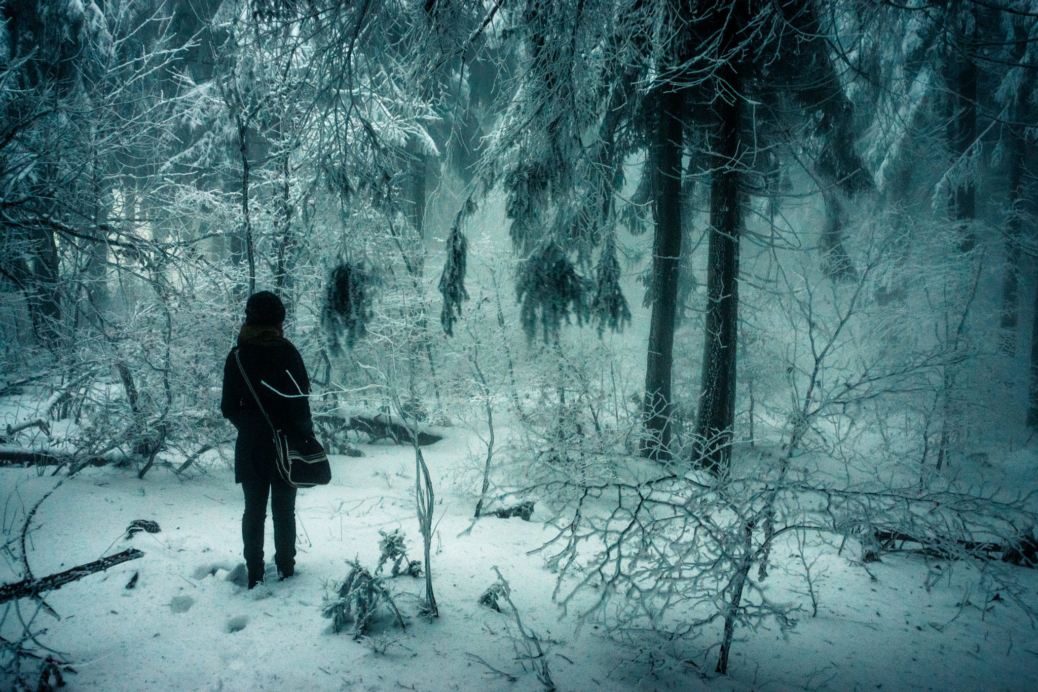 Sony SLT-A77 + Sony 20mm F2.8 sample photo. Lost in the forest photography