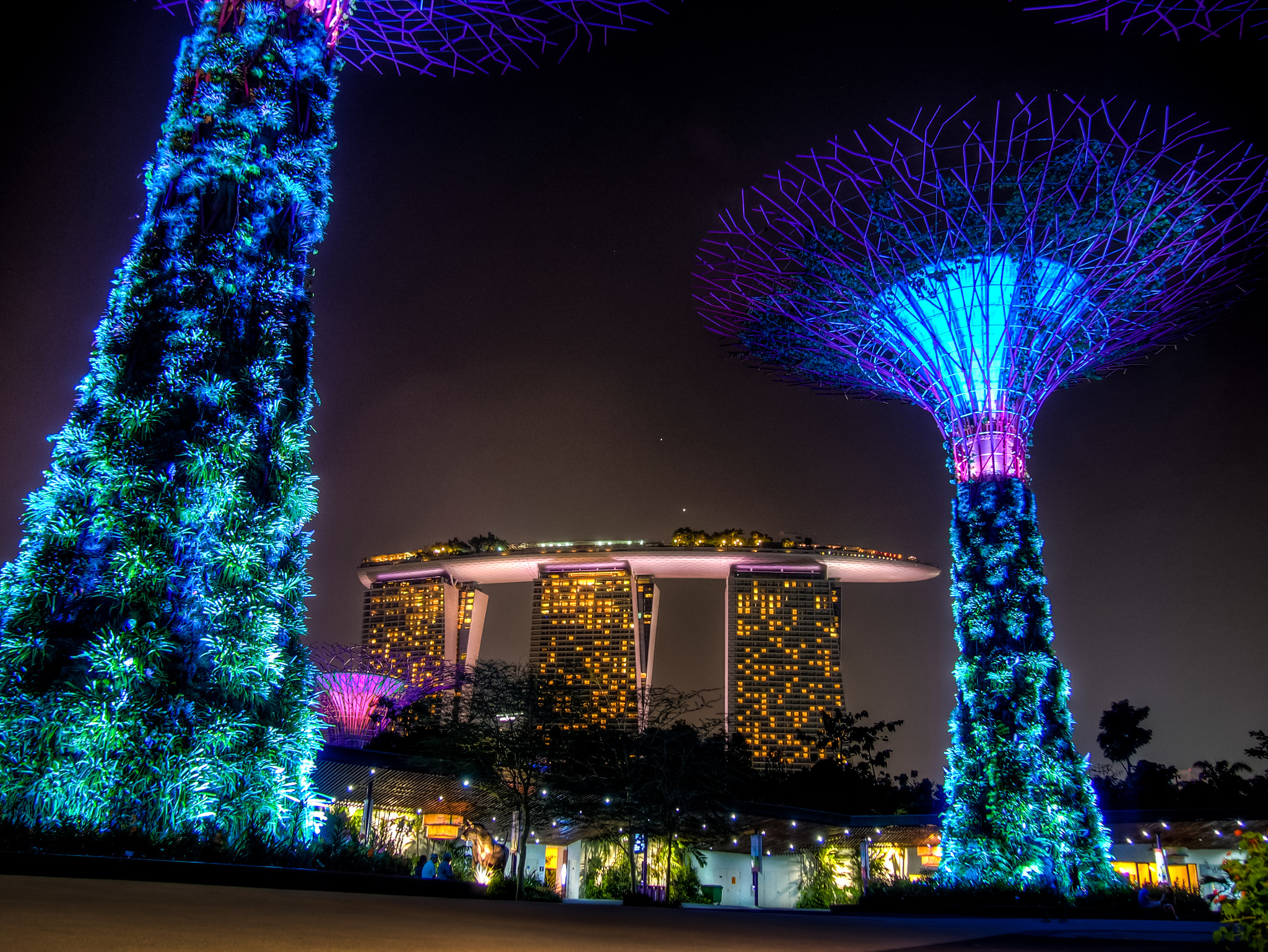 Olympus PEN E-PL5 sample photo. Supertree grove and the marina bay sands photography