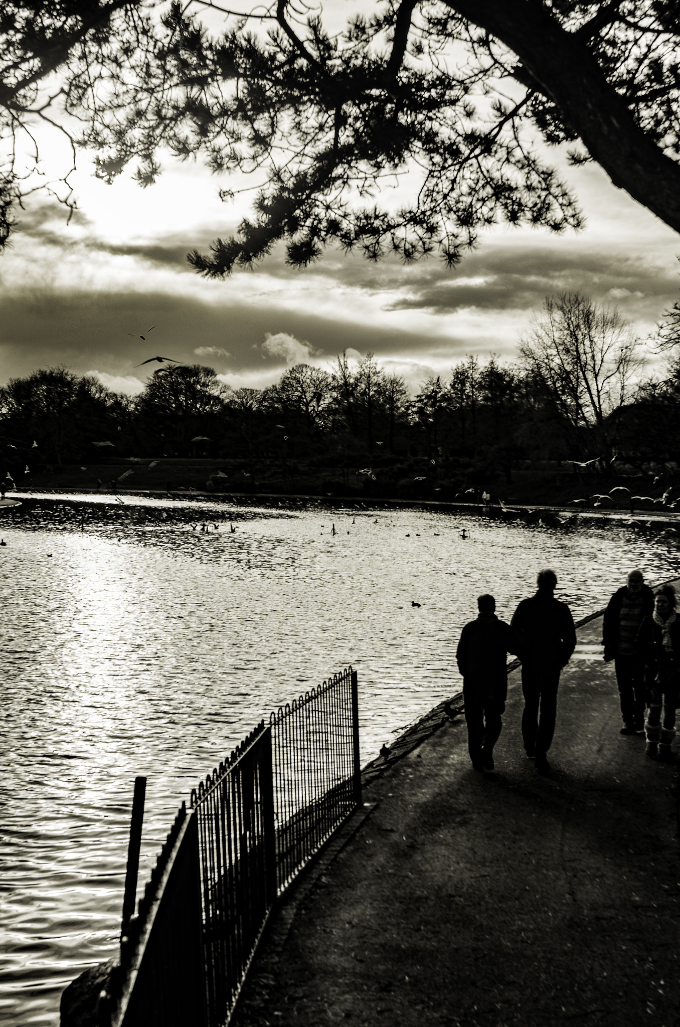 Nikon D7000 + AF Zoom-Nikkor 28-85mm f/3.5-4.5 sample photo. Peaceful walk photography