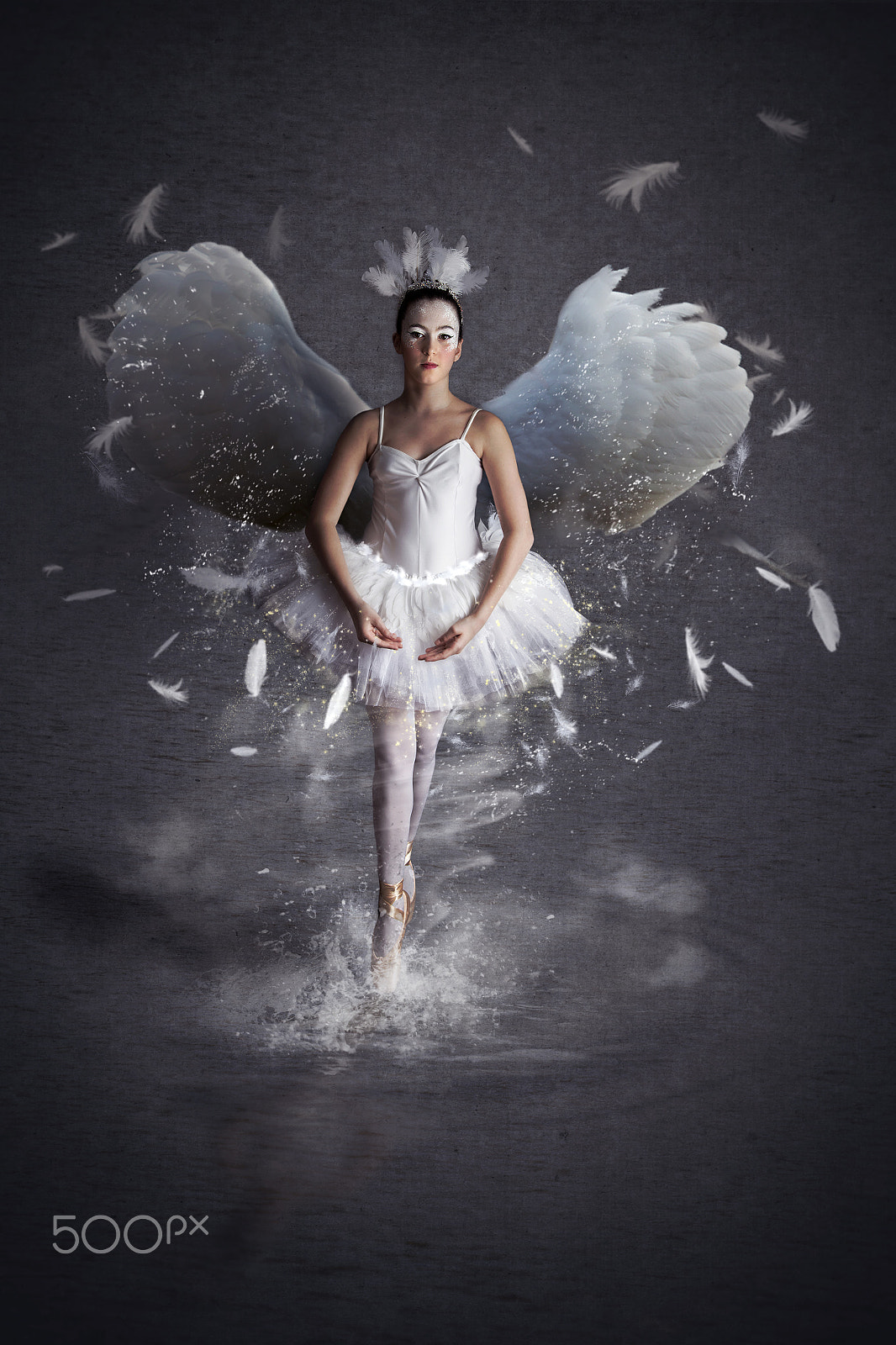 Canon EF 70-200mm F2.8L USM sample photo. Swan lake photography