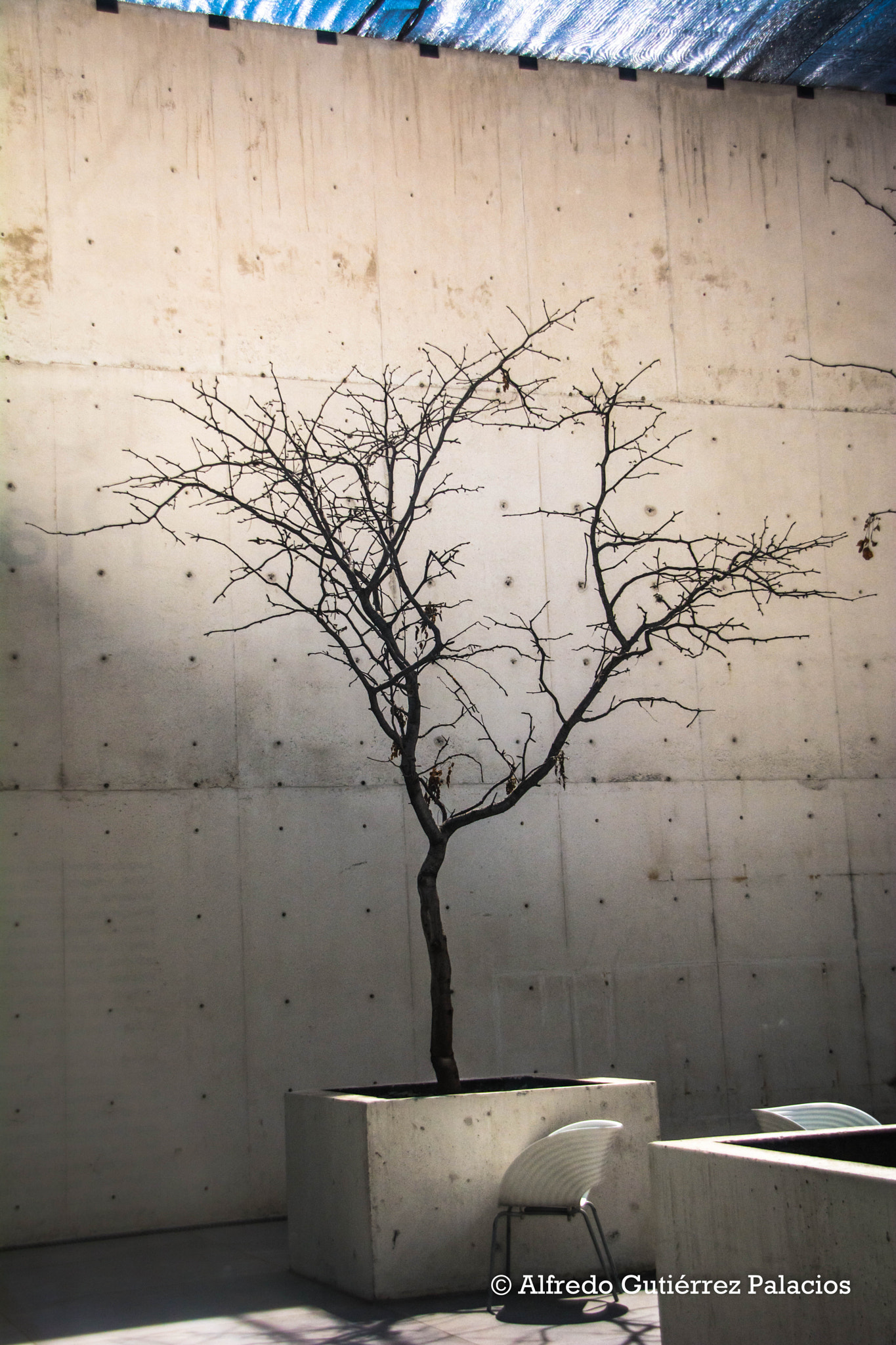 Sigma 18-200mm F3.5-6.3 DC OS HSM sample photo. Muac photography