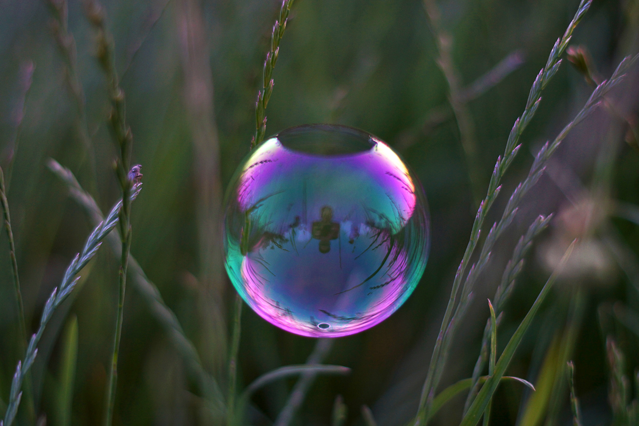 Sony SLT-A77 + Minolta AF 50mm F1.4 [New] sample photo. Bubble photography