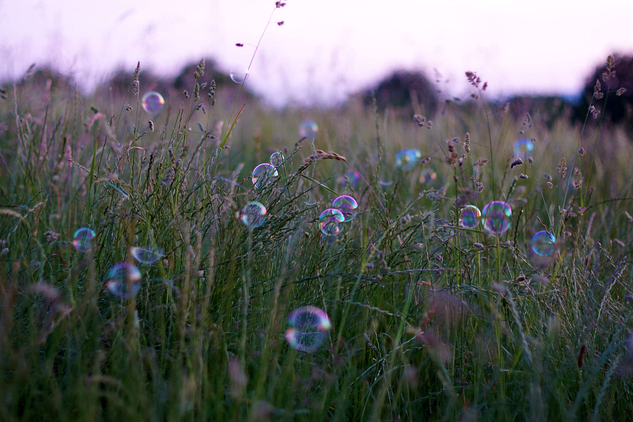 Sony SLT-A77 + Minolta AF 50mm F1.4 [New] sample photo. Bubbles photography