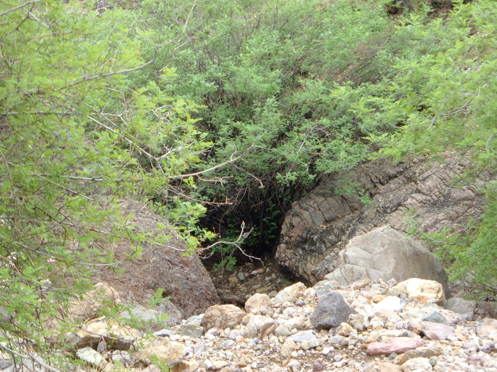 Fujifilm FinePix A340 sample photo. In the desert looking down photography