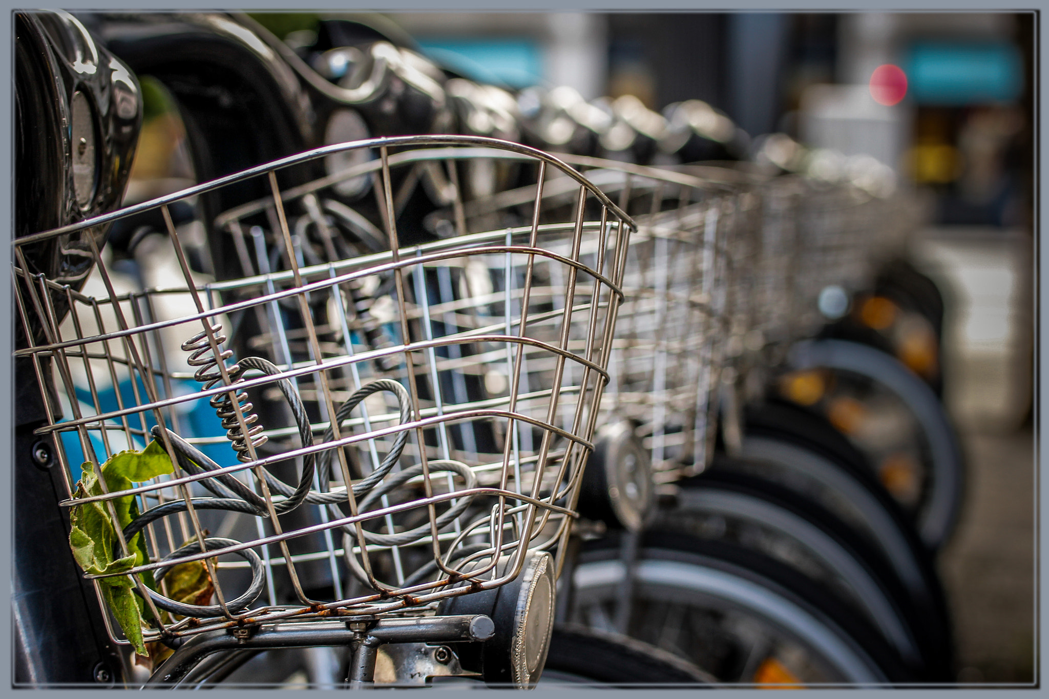 Tamron SP AF 60mm F2 Di II LD IF Macro sample photo. Dublin bikes photography