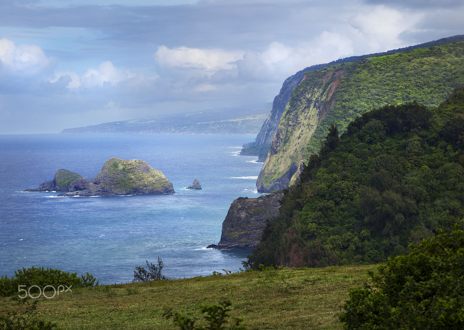 Canon EF 200mm F2.8L II USM sample photo. Waipio valley coastline photography