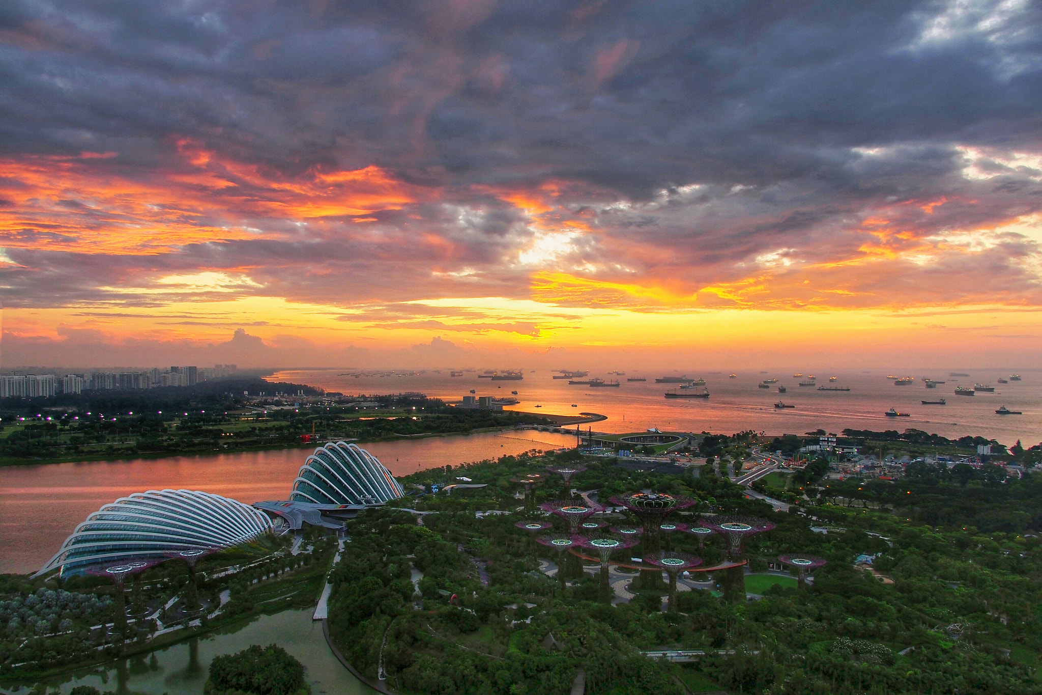 Olympus PEN E-P5 sample photo. Gardens by the bay photography