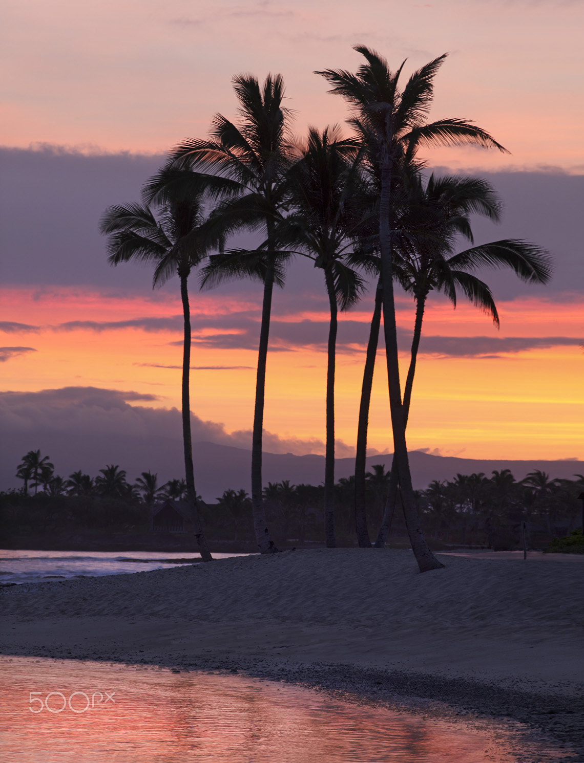 Canon EF 200mm F2.8L II USM sample photo. Hawaiian sunset photography