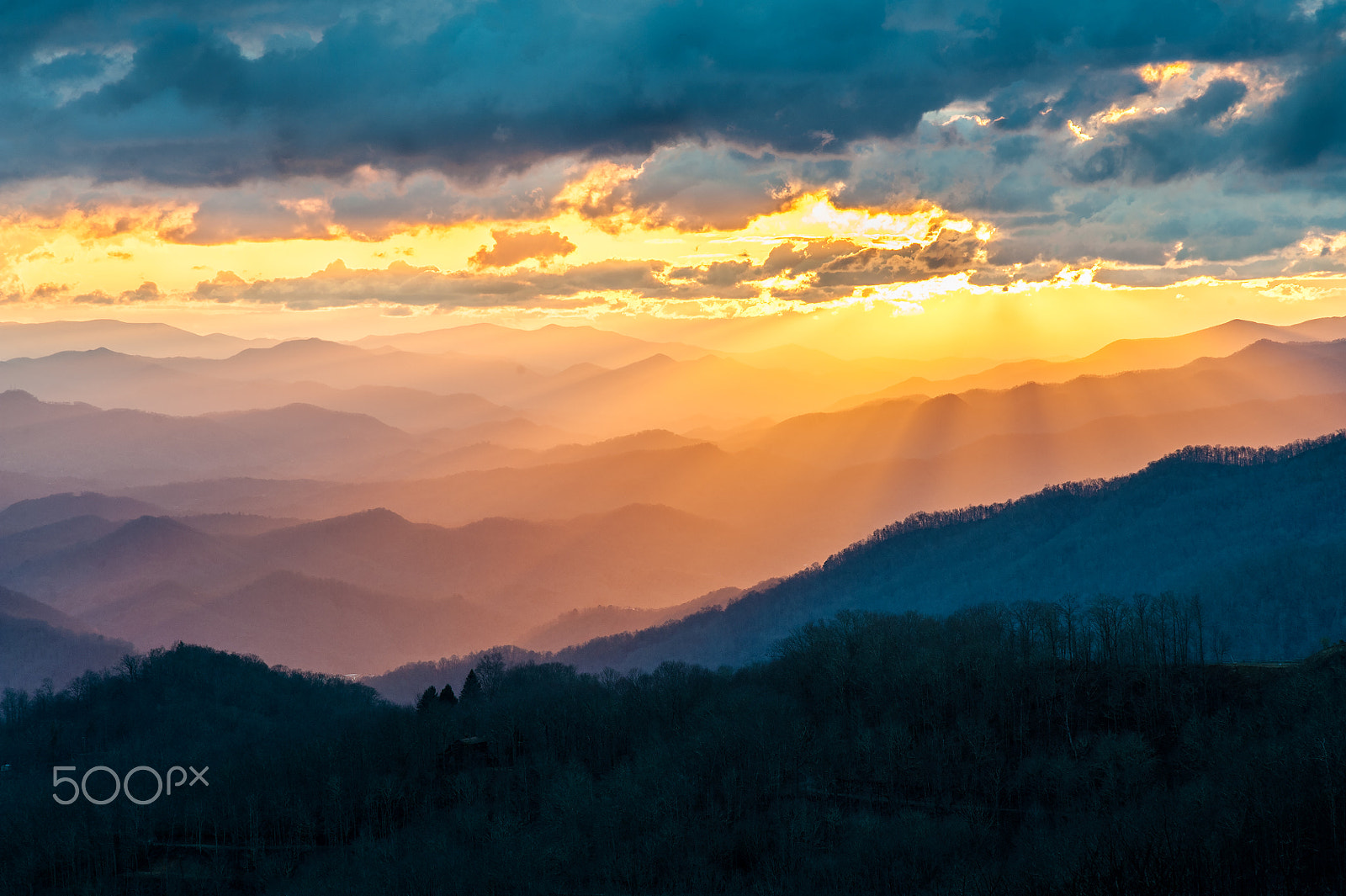Nikon D700 + AF Nikkor 70-210mm f/4-5.6 sample photo. Golden glory photography