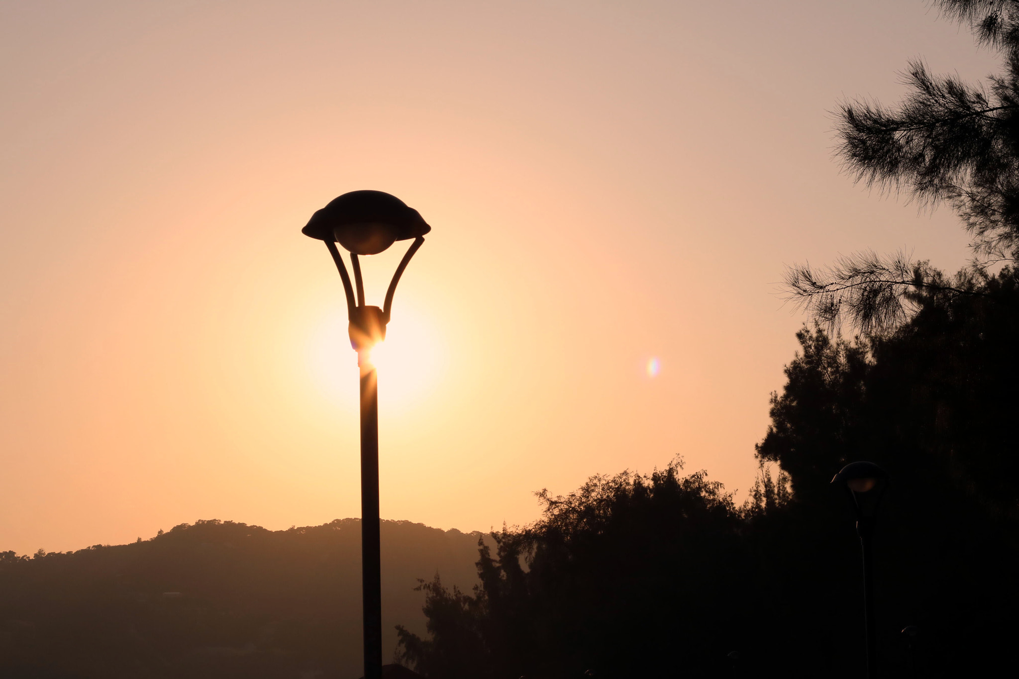 Canon EOS 750D (EOS Rebel T6i / EOS Kiss X8i) + Canon EF 50mm F1.8 II sample photo