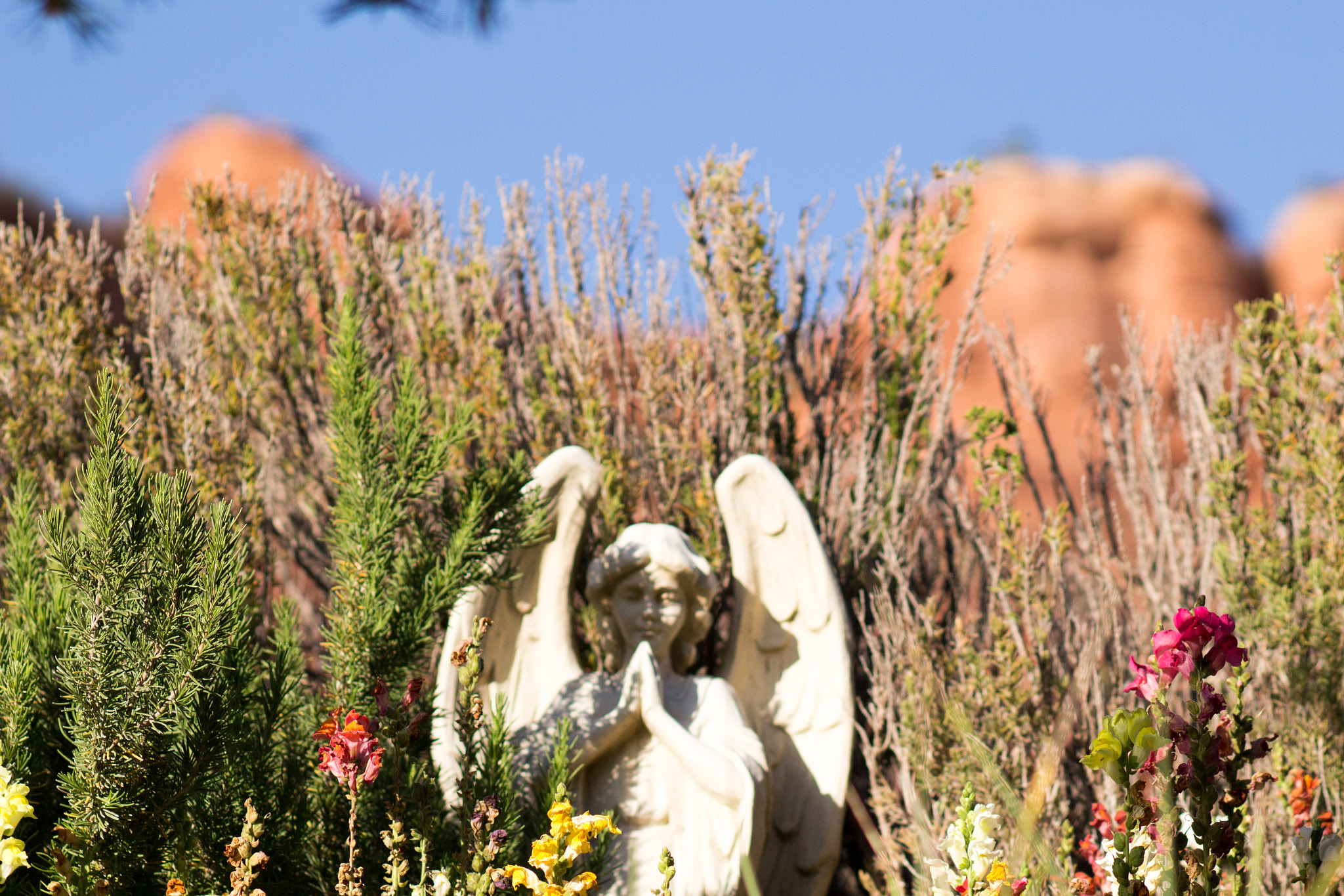 Canon EOS 100D (EOS Rebel SL1 / EOS Kiss X7) + Canon EF 100mm F2.0 USM sample photo. Angel in the garden photography