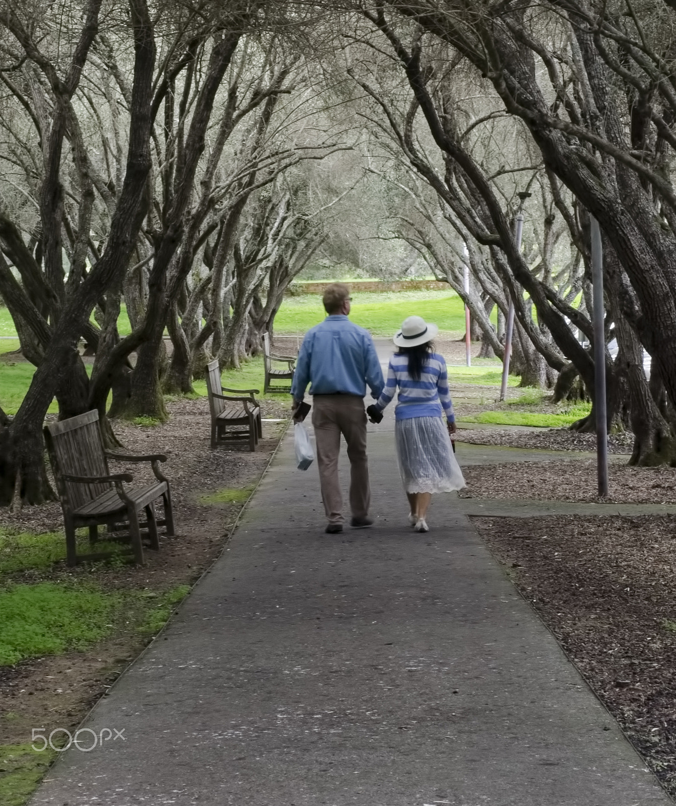 Nikon D7000 + Sigma 50mm F1.4 DG HSM Art sample photo. At the park photography