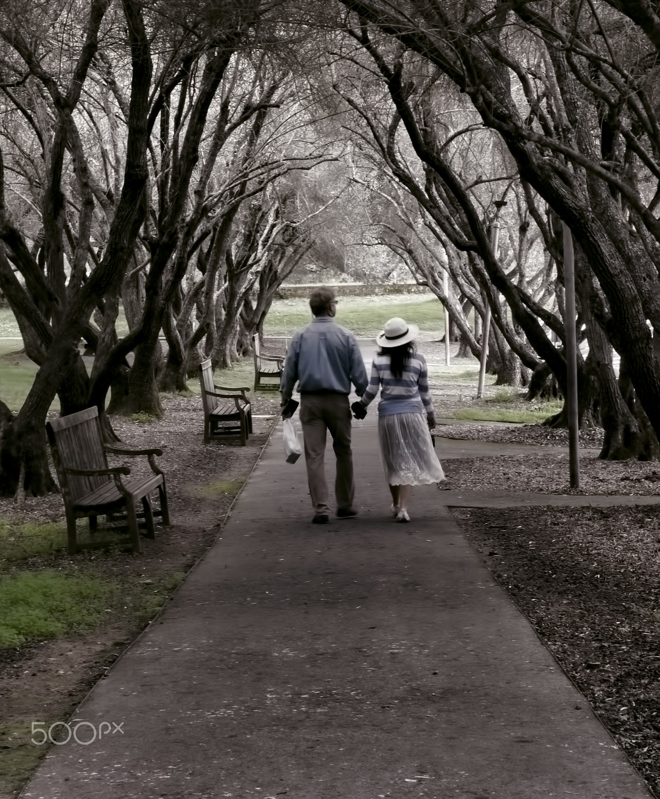 Nikon D7000 + Sigma 50mm F1.4 DG HSM Art sample photo. At the park photography