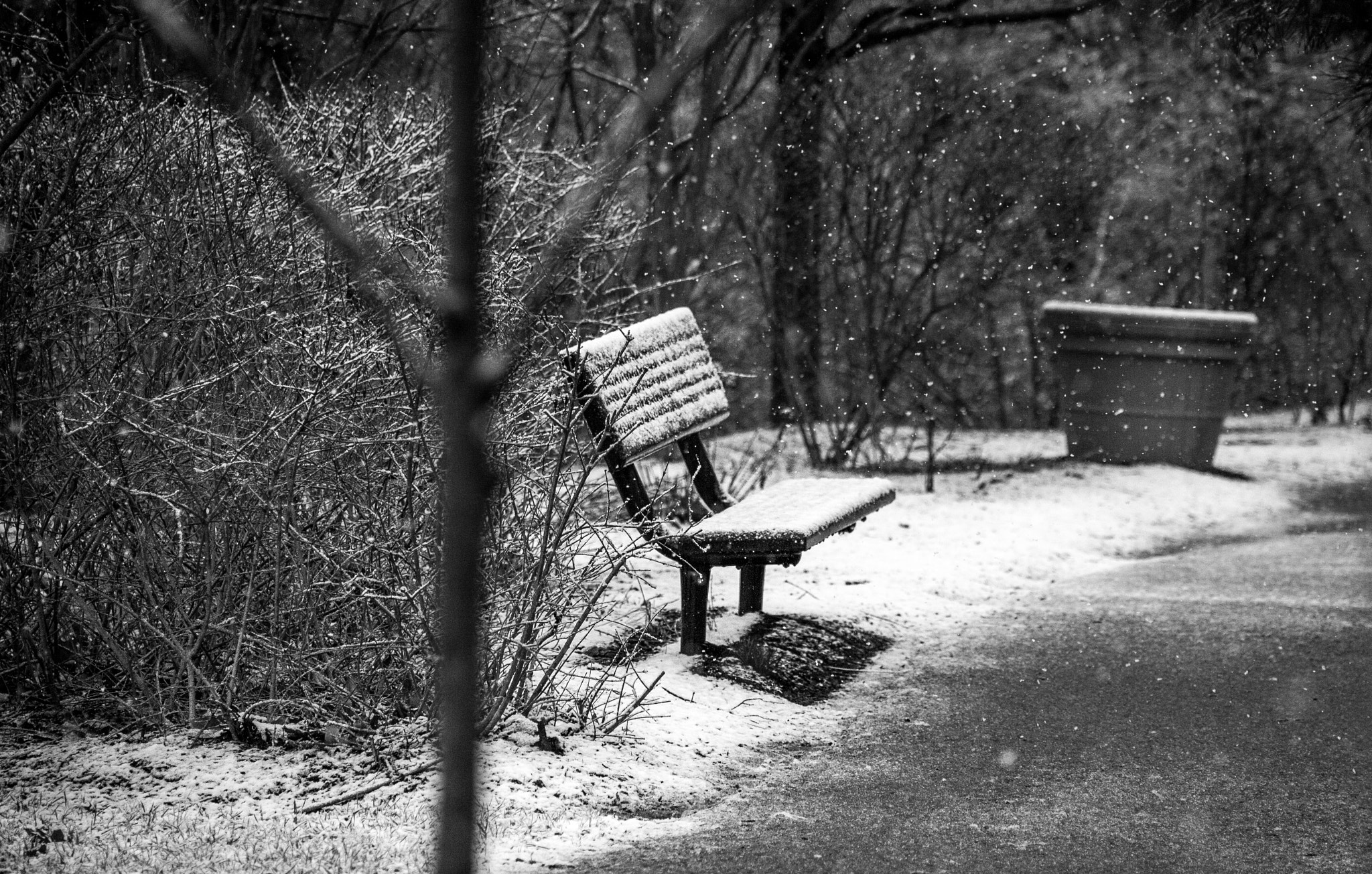 Canon EOS 5D + EF75-300mm f/4-5.6 sample photo. Lonely bench.jpg photography