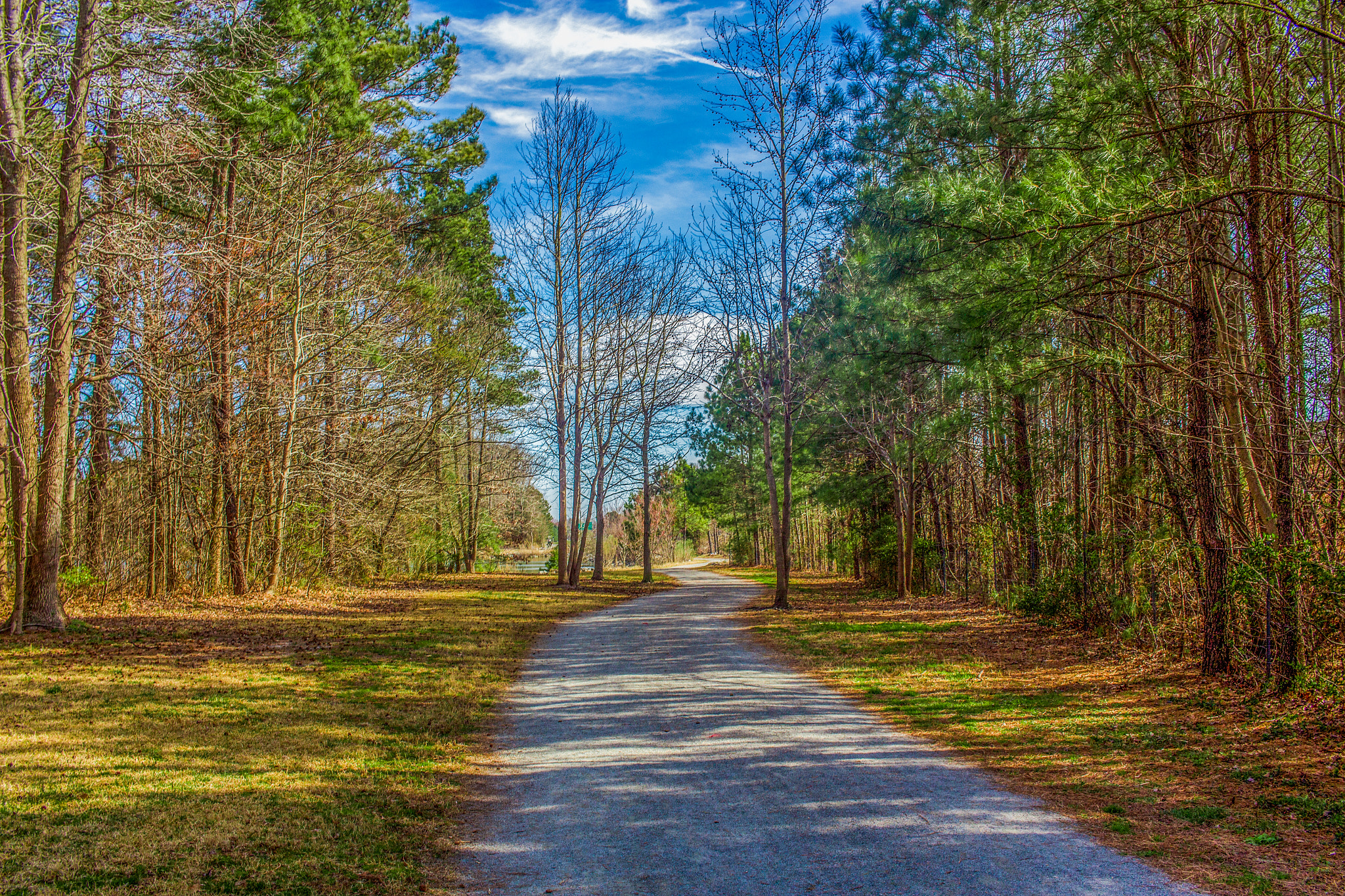 Canon EF-S 24mm F2.8 STM sample photo. Oak grove  photography