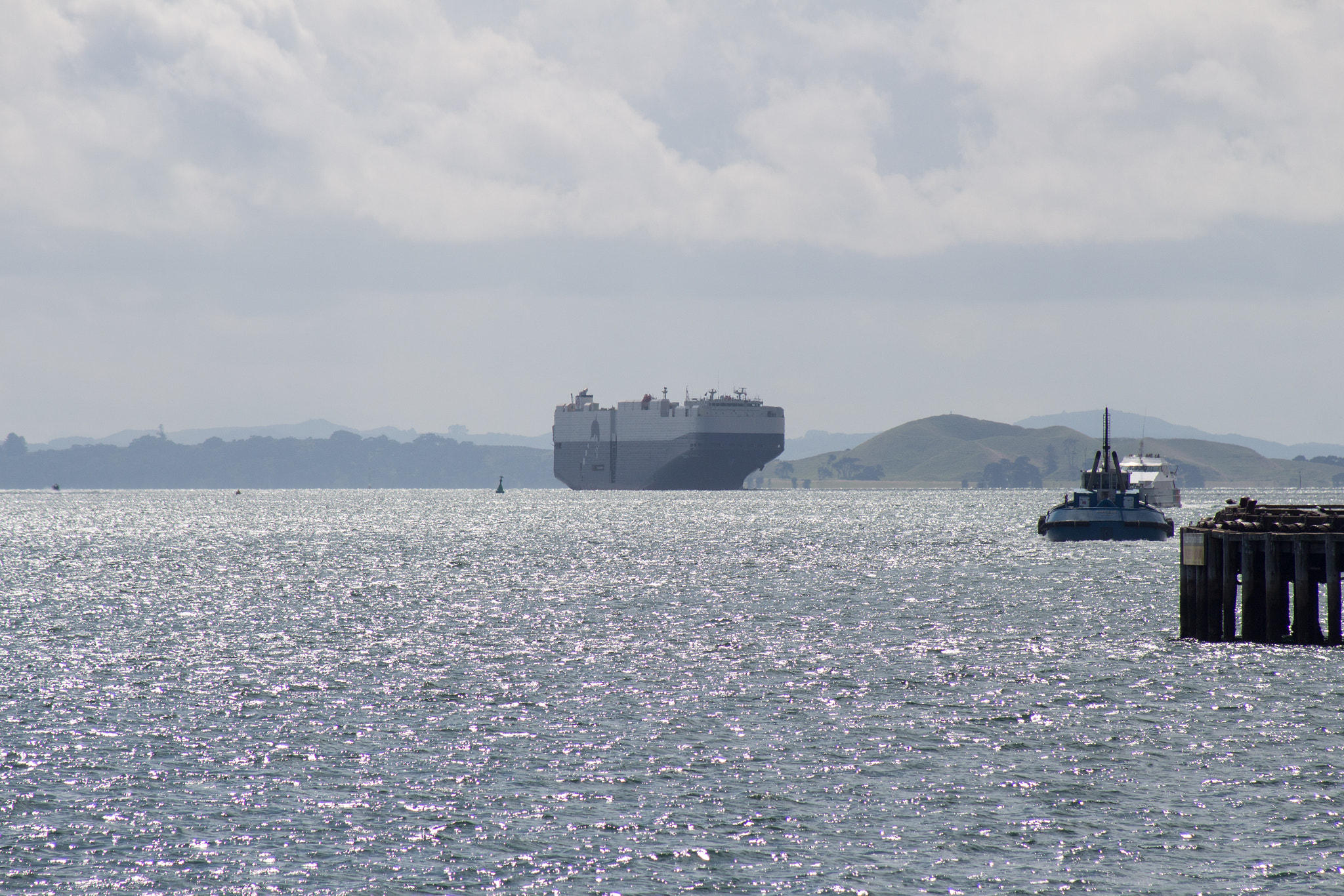 Canon EF 80-200mm F4.5-5.6 II sample photo. Car carrier trans future 7 arriving in auckland photography