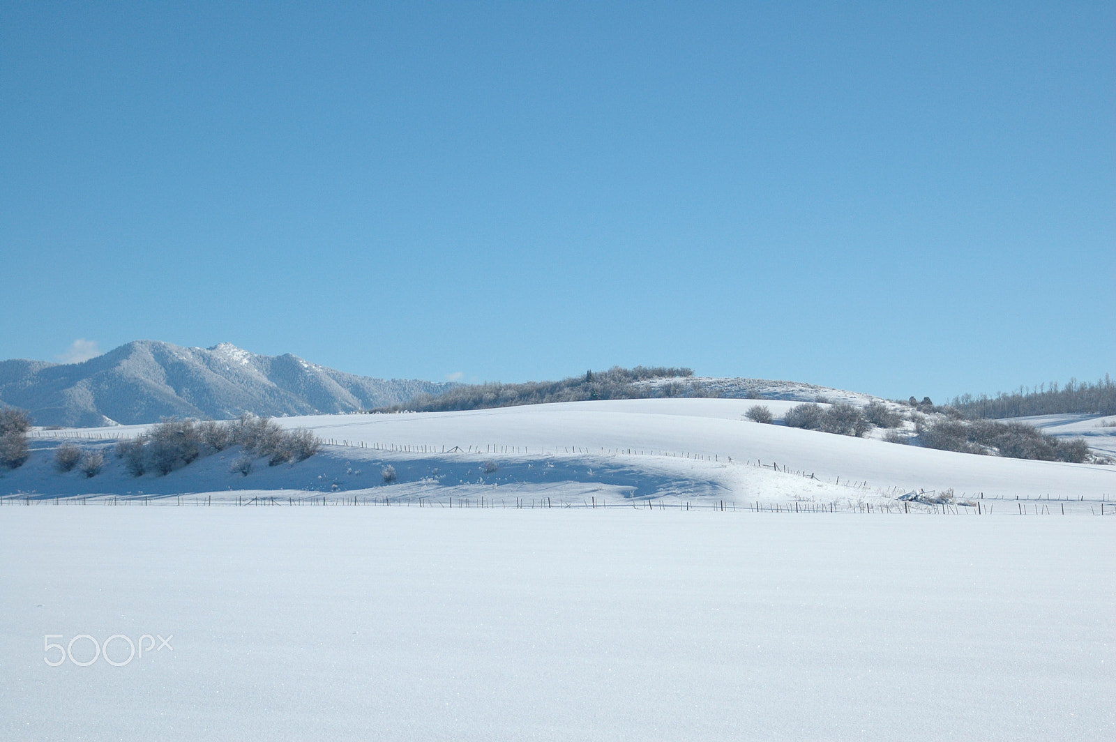 AF Zoom-Nikkor 28-200mm f/3.5-5.6D IF sample photo. Rise photography