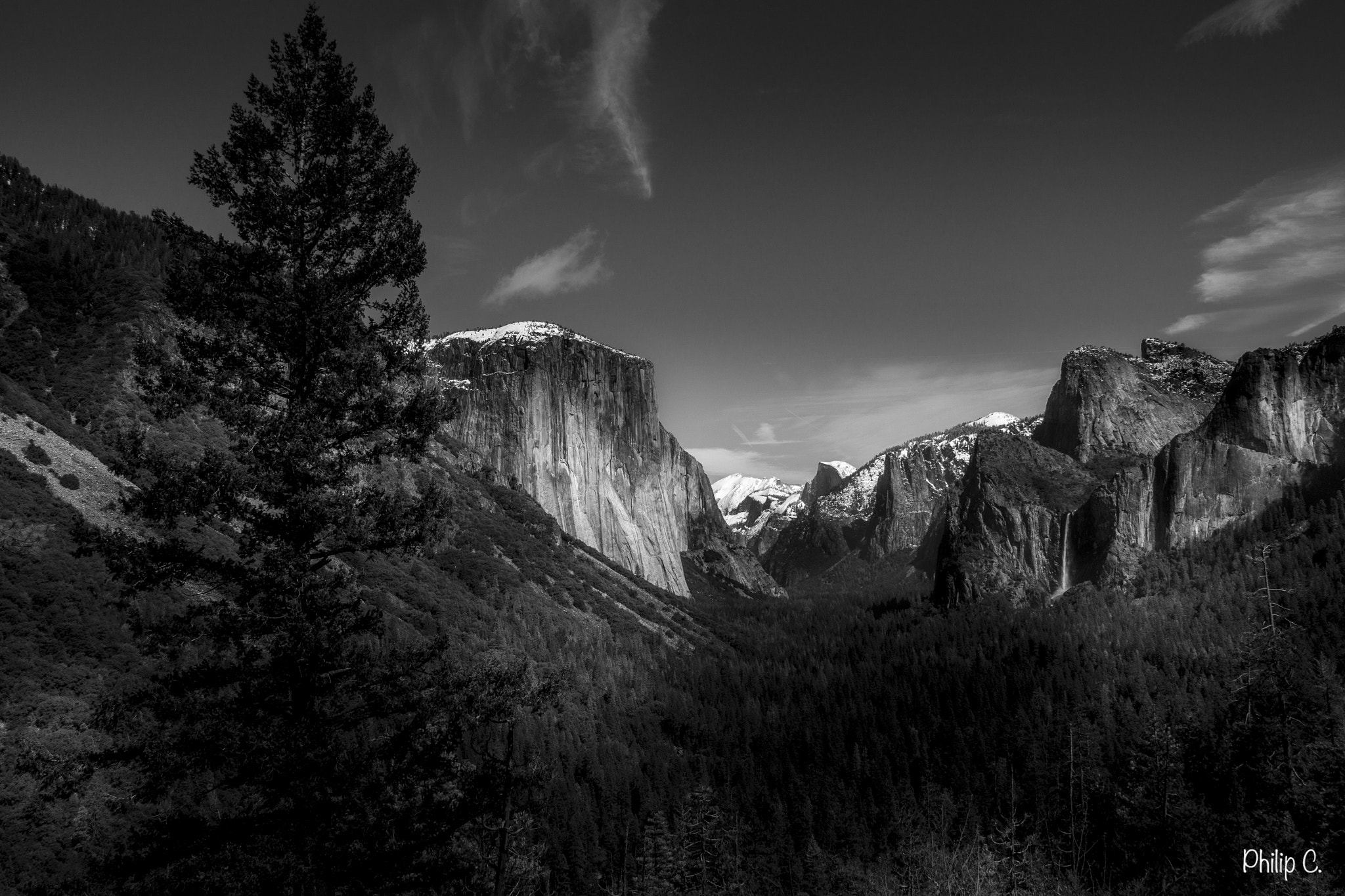 Canon EF-S 18-135mm F3.5-5.6 IS STM sample photo. Yosemite valley + pine tree photography