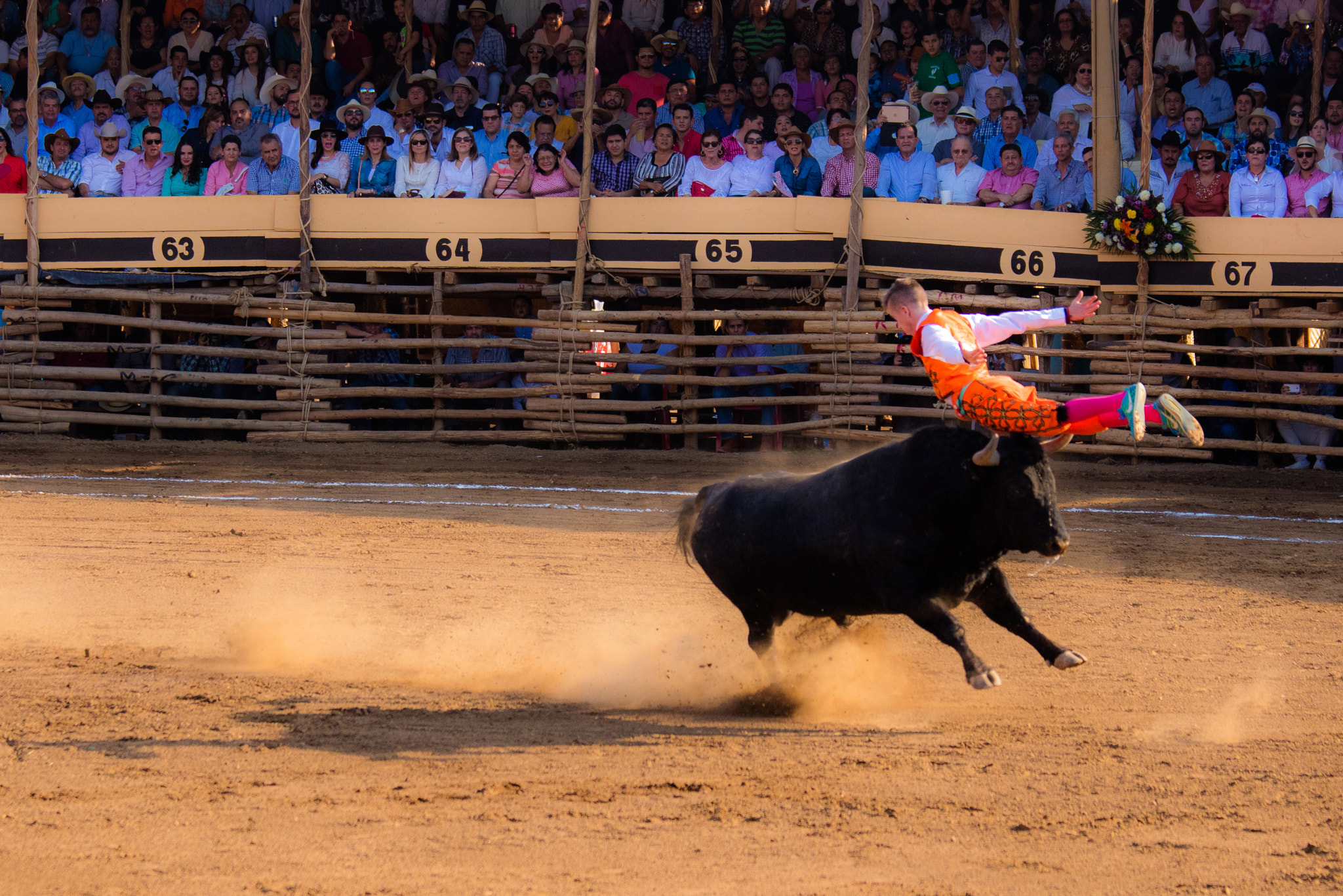 Canon EF 70-200mm F4L IS USM sample photo. Recortador photography