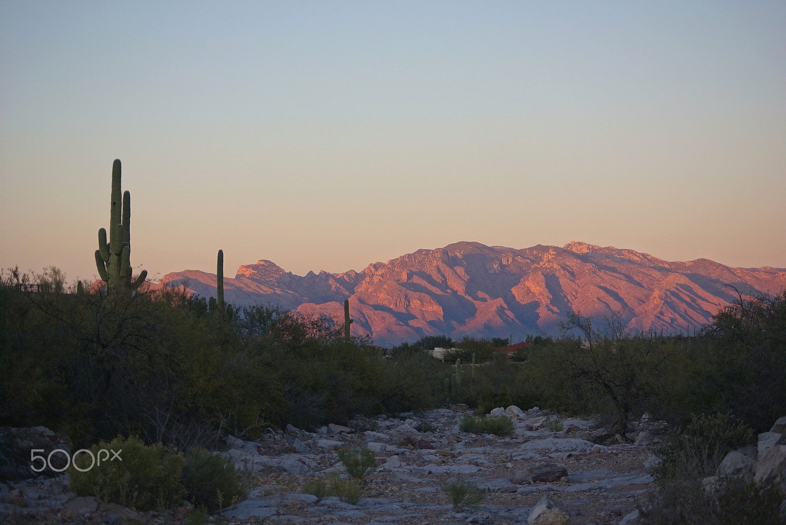 Sony DT 55-200mm F4-5.6 SAM sample photo. Sunset in the desert photography