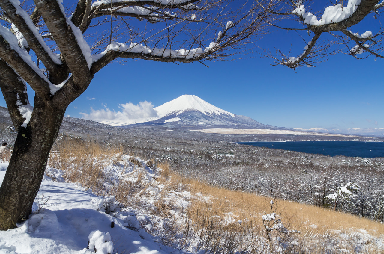 Ricoh GXR A16 sample photo. Mt.fuji after a spring snow photography