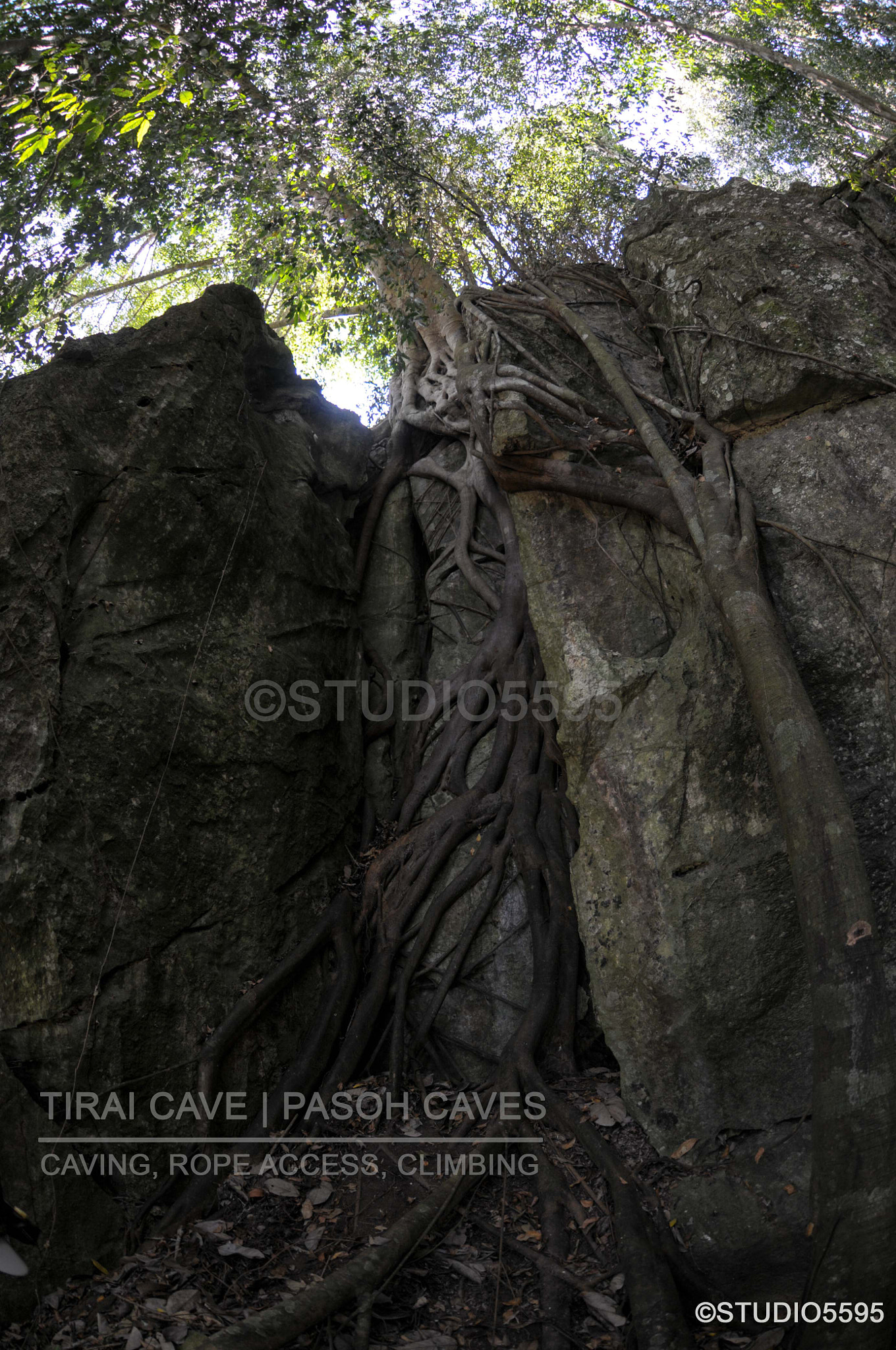 Nikon AF DX Fisheye-Nikkor 10.5mm F2.8G ED sample photo. Outside tirai cave | pasoh caves photography