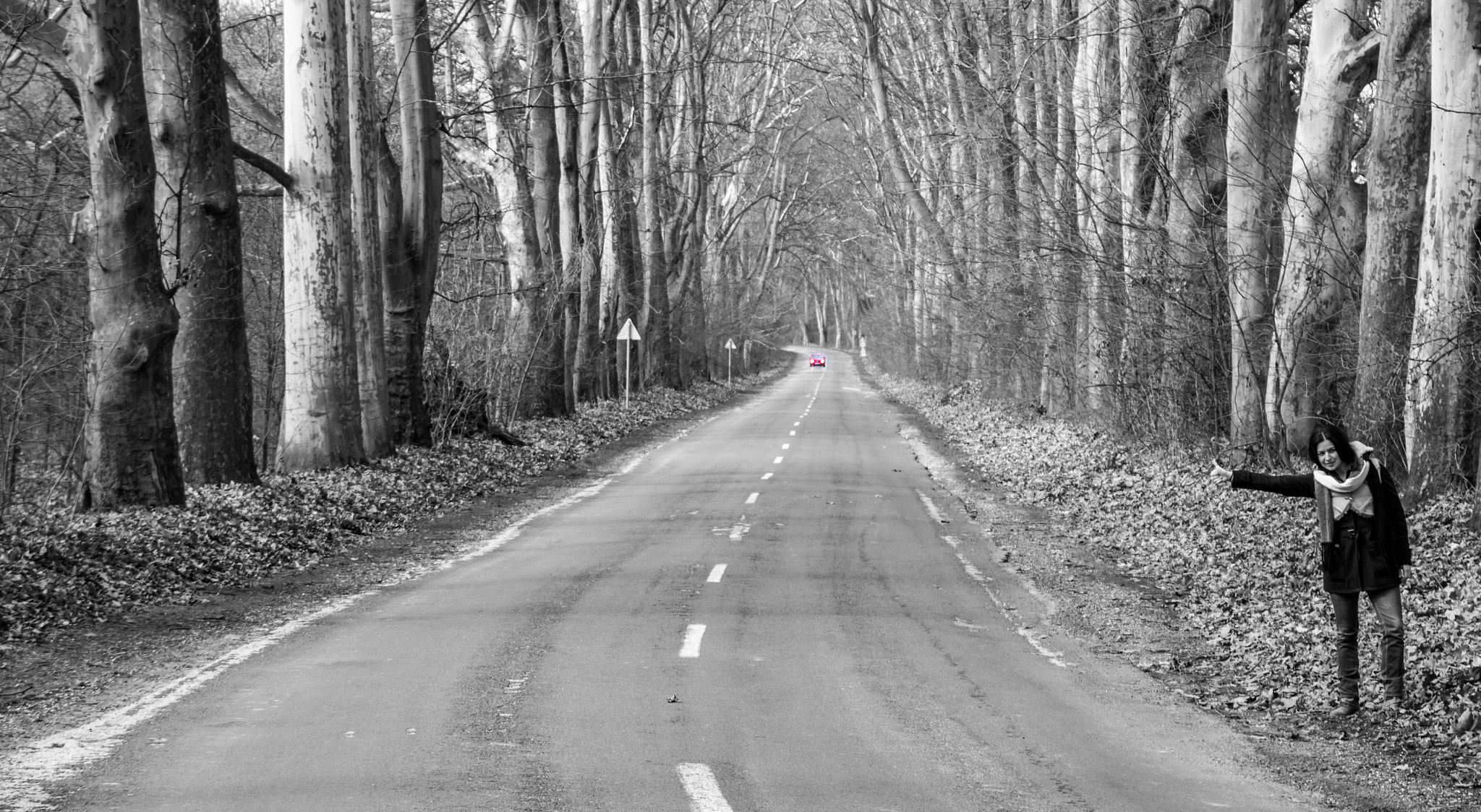 Pentax K-50 sample photo. On the way (klára) photography