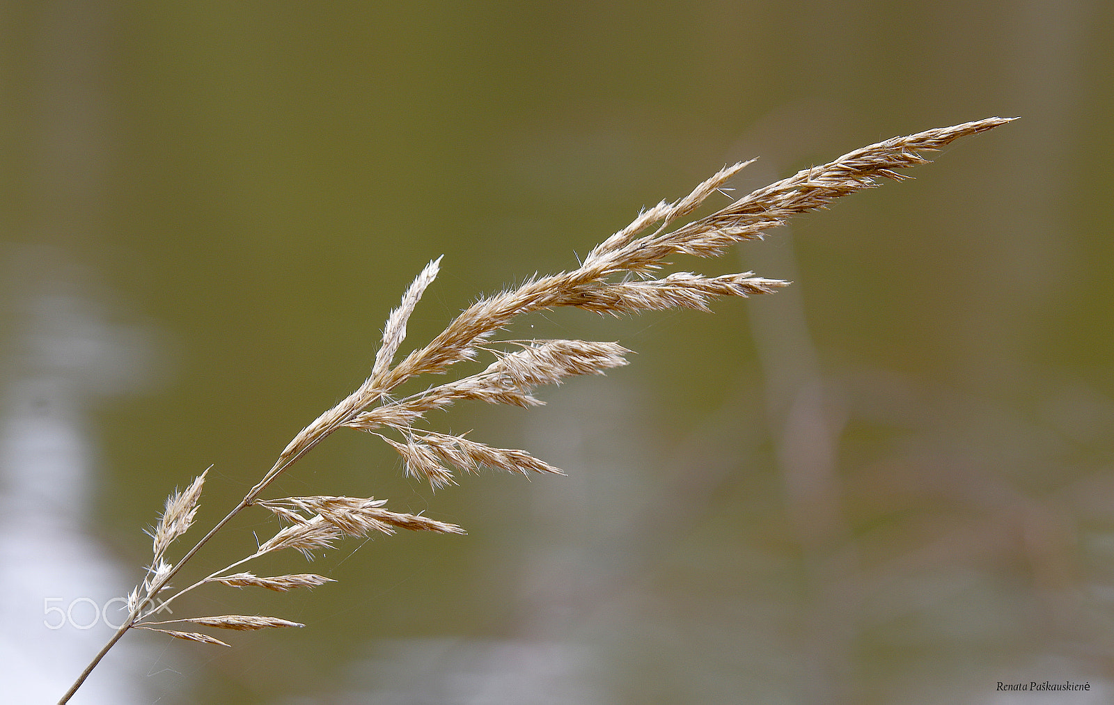 Pentax K-3 sample photo