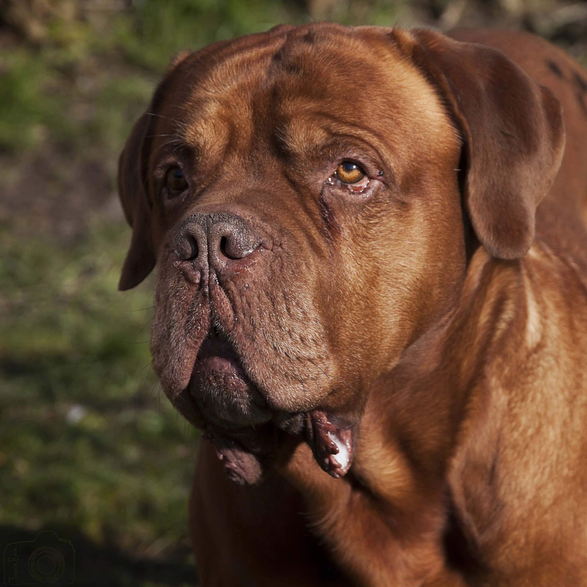 Sigma 24-105mm f/4 DG OS HSM | A sample photo. ☼ ☼ ☼ photography