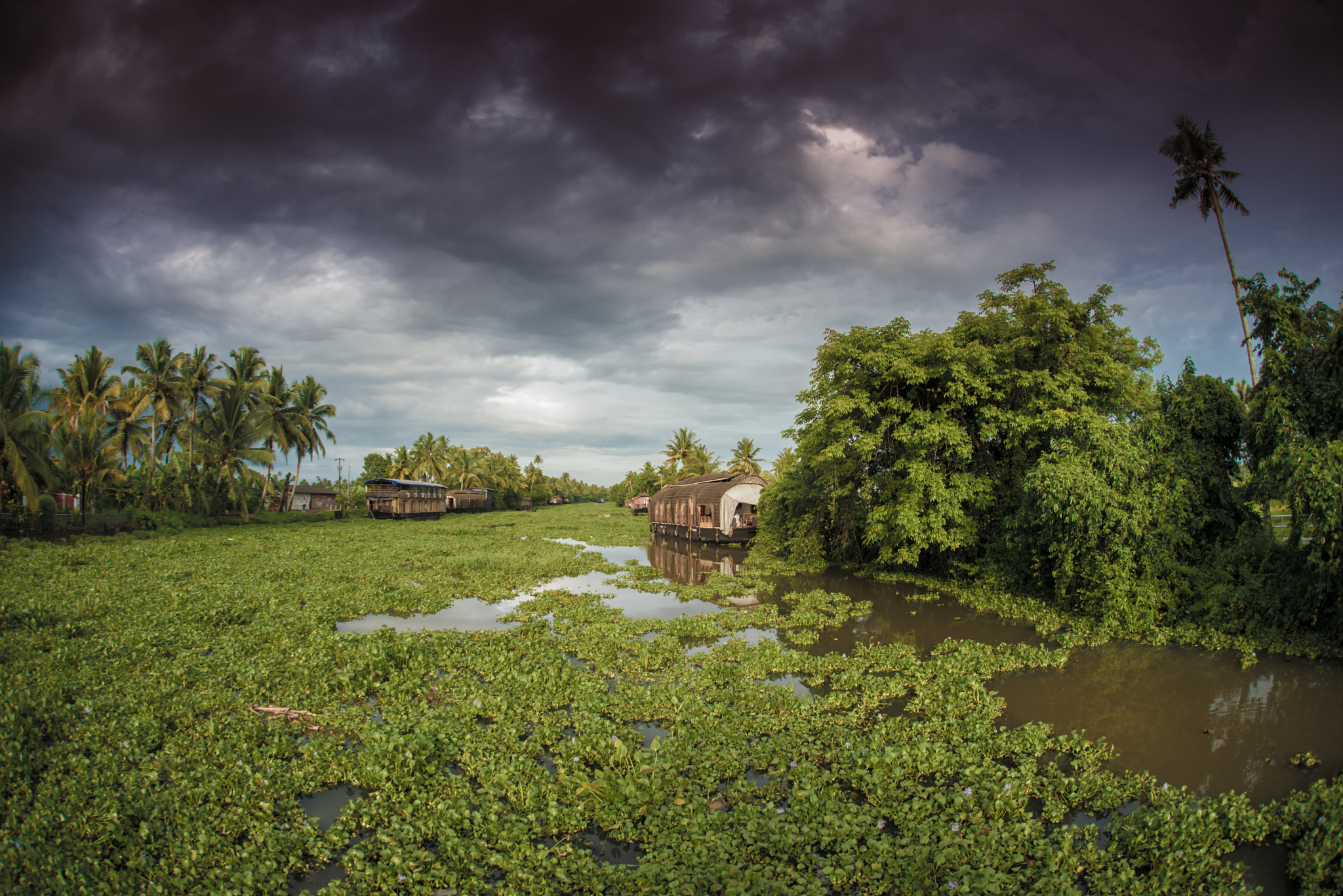 Nikon D800E + Sigma 15mm F2.8 EX DG Diagonal Fisheye sample photo. Kumarakom photography