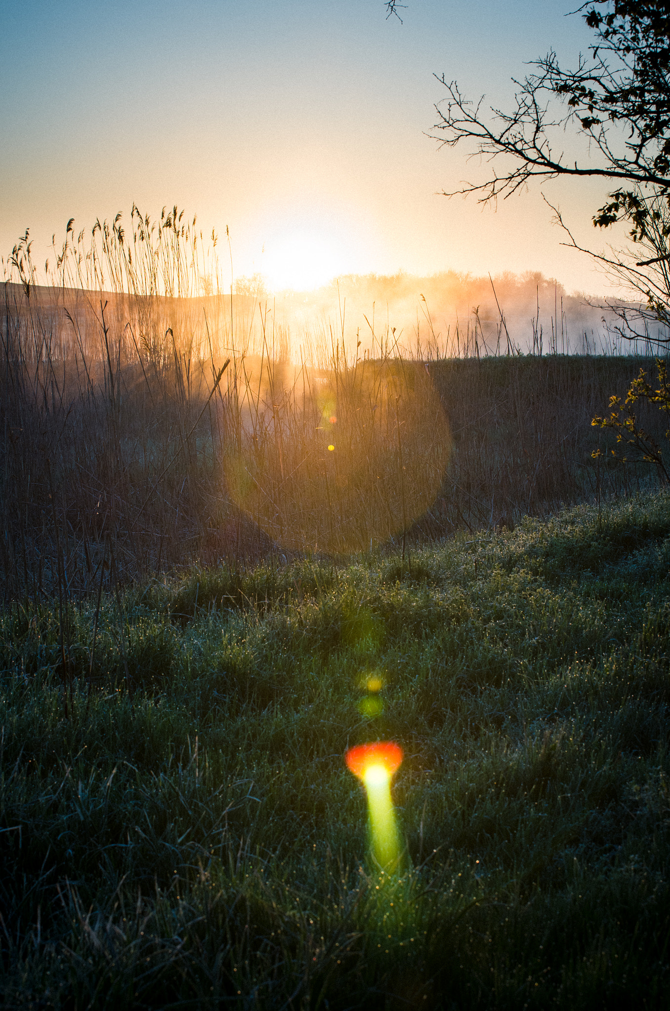 Pentax K-5 IIs sample photo. Восход photography