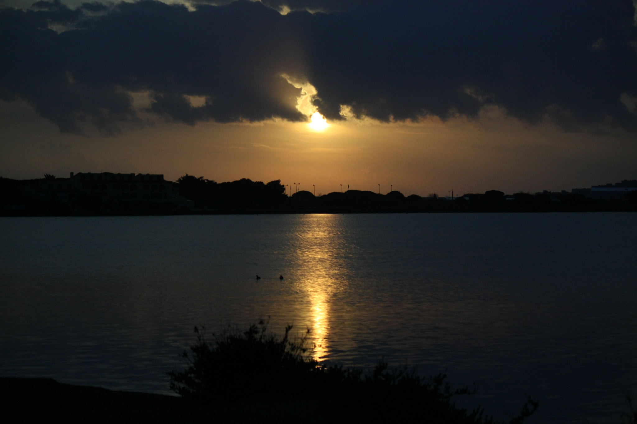 Canon EOS 450D (EOS Rebel XSi / EOS Kiss X2) sample photo. Sunrise 15/03/2016 photography