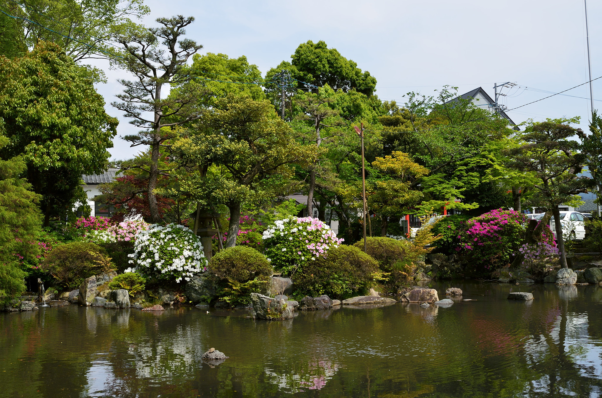 Nikon D7000 + Nikon AF Nikkor 28mm F2.8D sample photo. Japanes garden photography