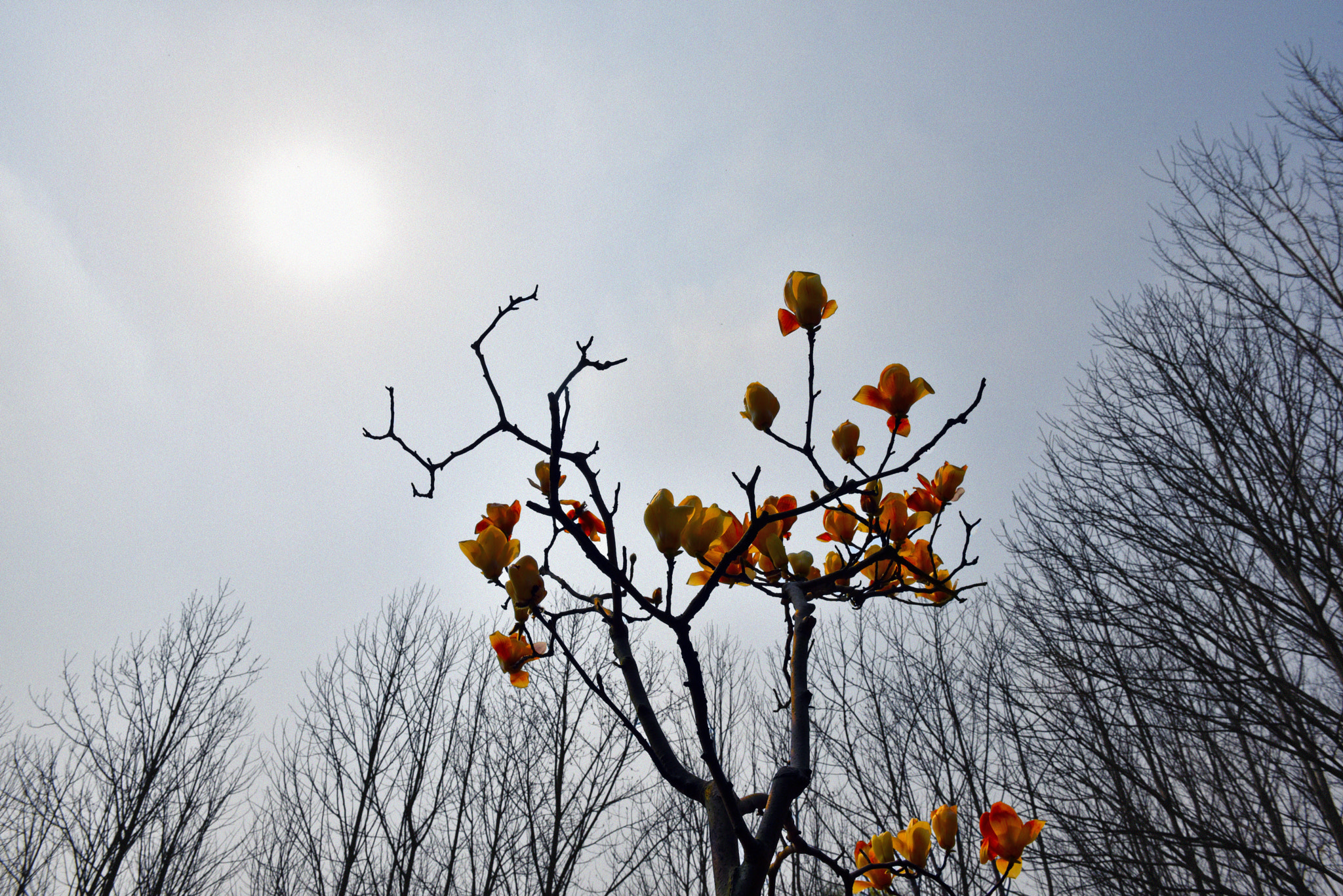 AF Zoom-Nikkor 24-120mm f/3.5-5.6D IF sample photo. Hehe photography