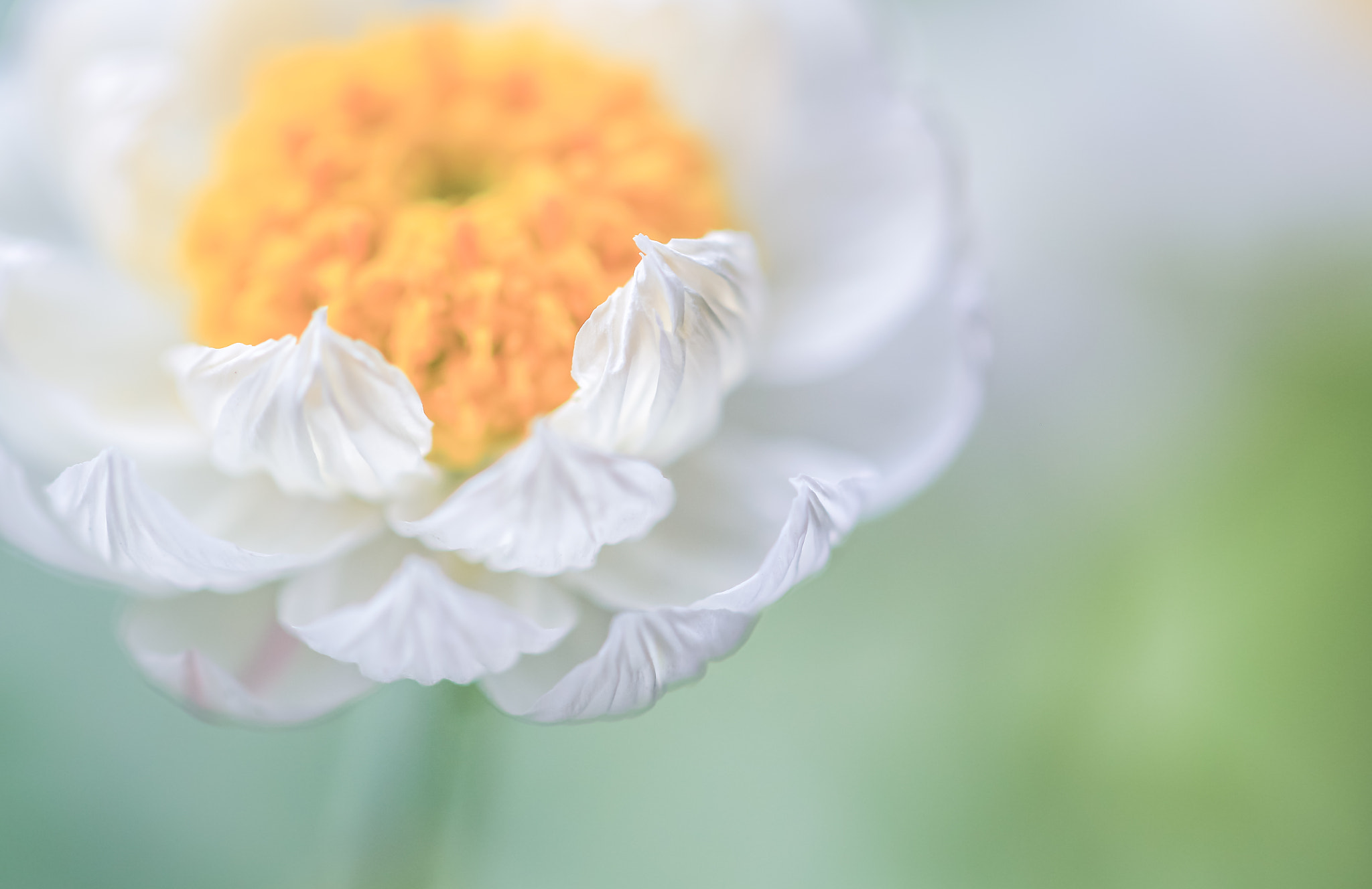 Canon EOS 650D (EOS Rebel T4i / EOS Kiss X6i) sample photo. Spring photography