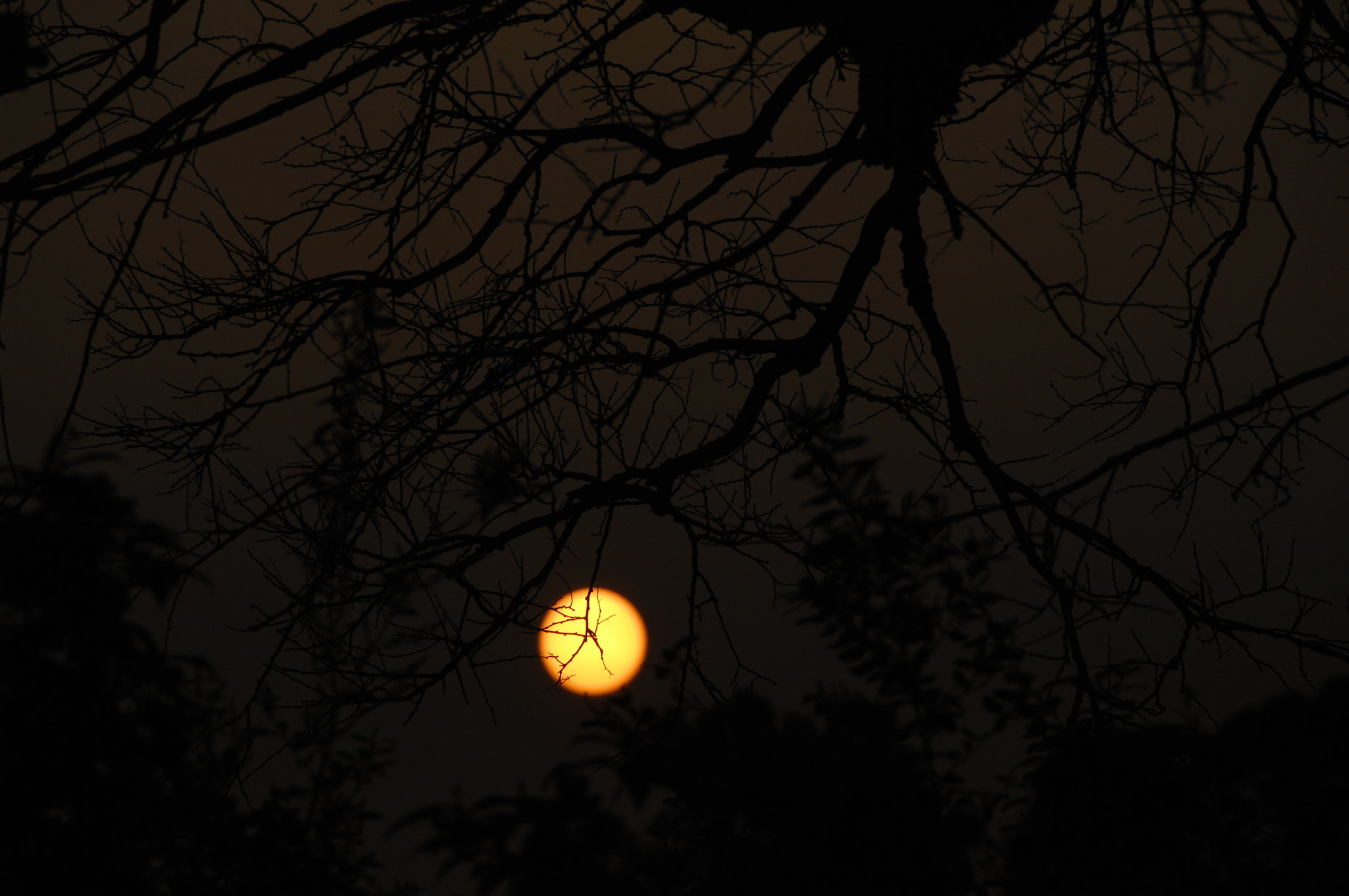 Nikon D2X sample photo. .. photography