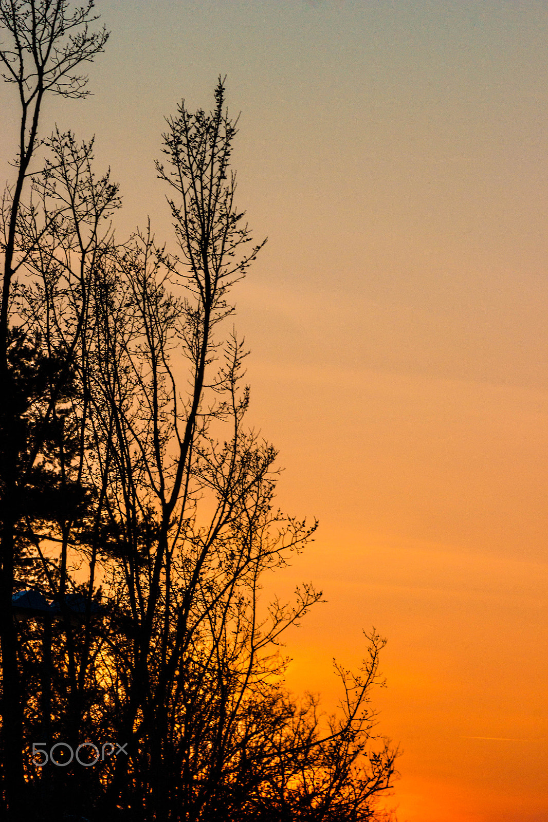 Canon EF 55-200mm f/4.5-5.6 sample photo