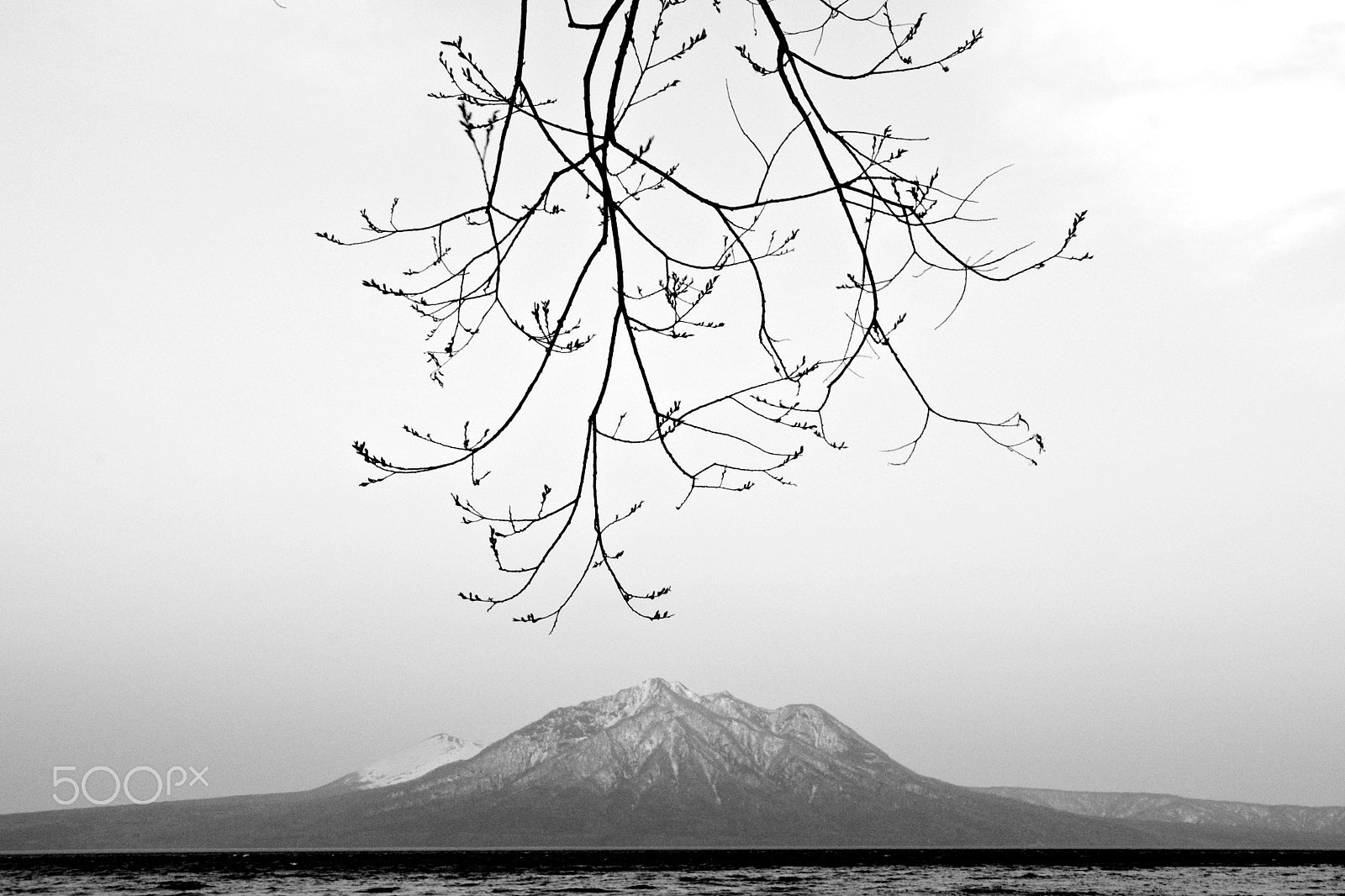 Sony Alpha DSLR-A700 sample photo. Zen photography