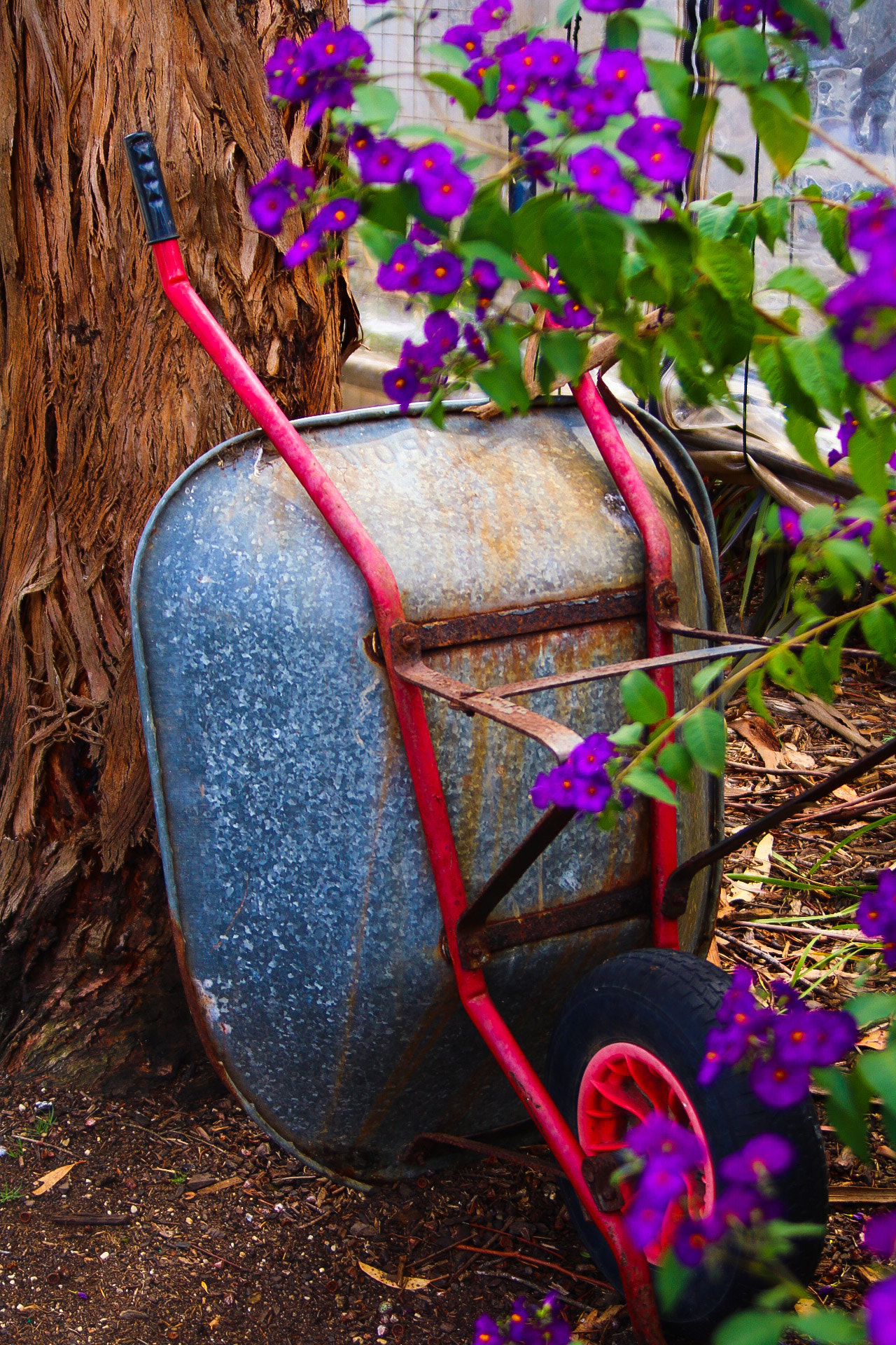 Canon EF 35-135mm f/4-5.6 USM sample photo. Antique barrow  photography