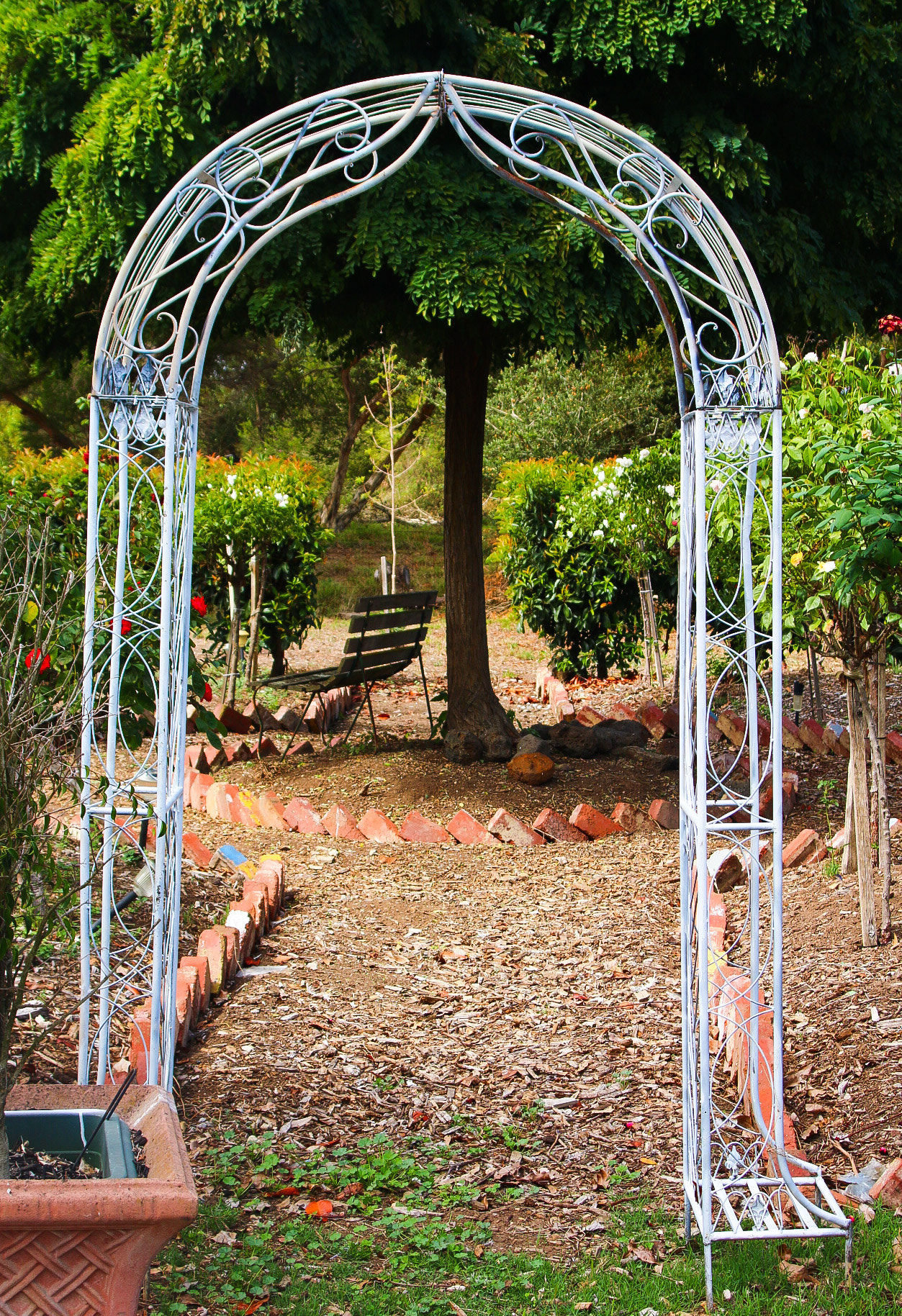Canon EF 35-135mm f/4-5.6 USM sample photo. Garden arch photography